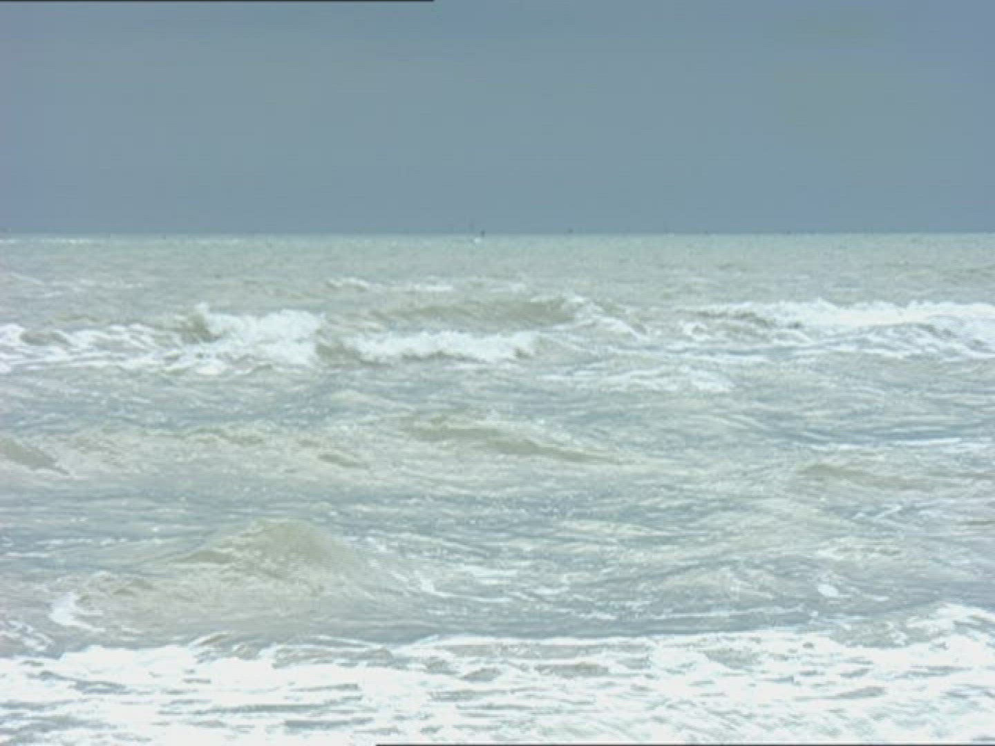 628171344 / Surf / Sea / Veneto / Italy