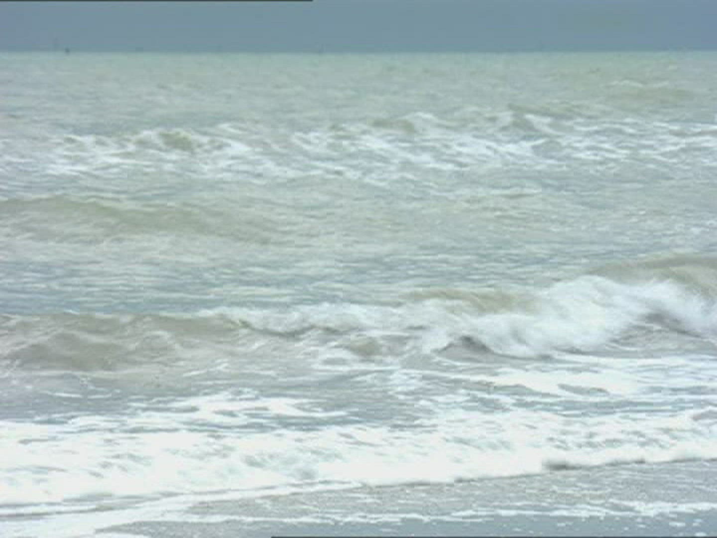372900242 / Surf / Sea / Veneto / Italy