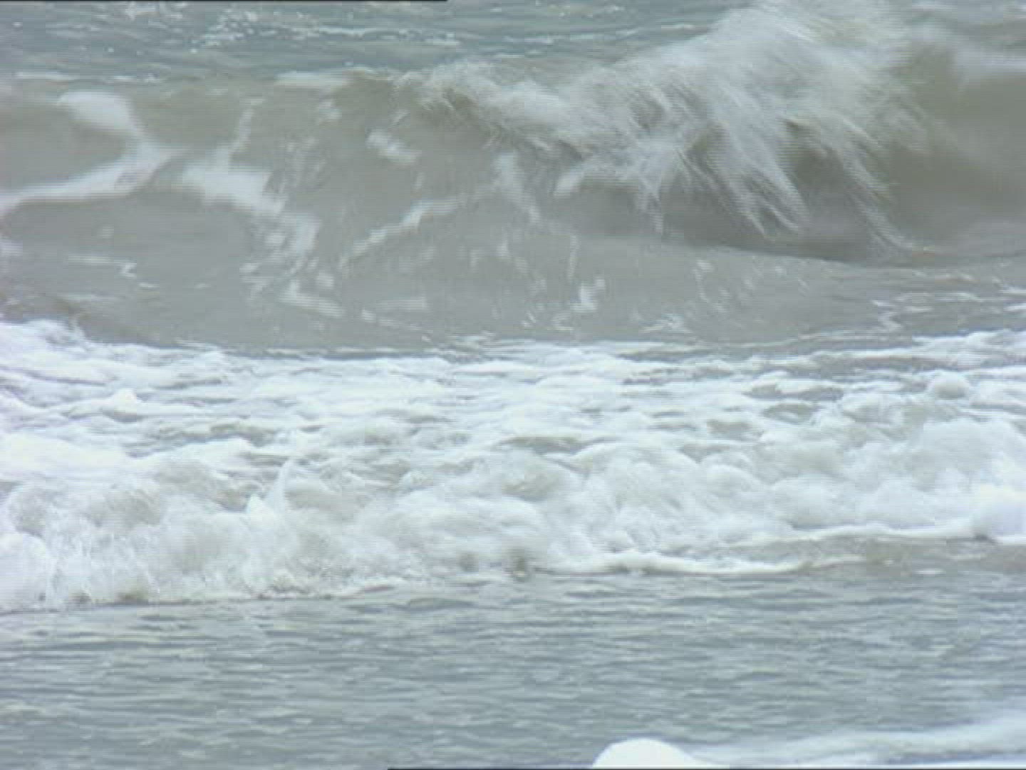 294434133 / Surf / Sea / Veneto / Italy