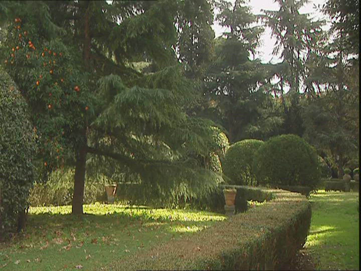 698688911 / Villa Farnesina / Rome / Italy