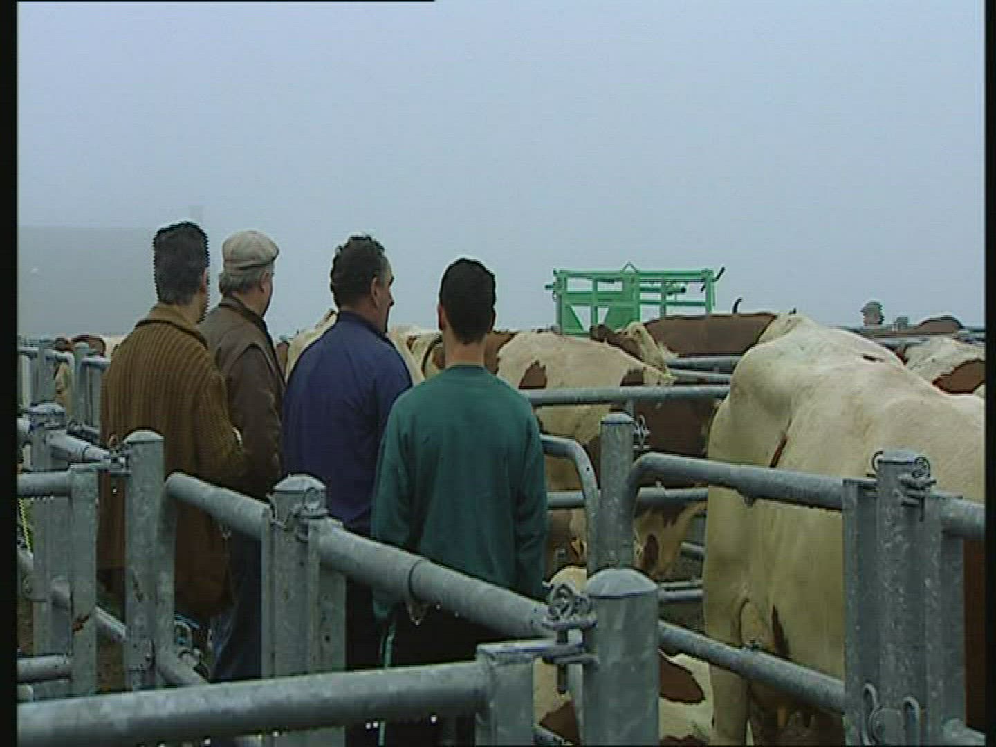 756834963 / Cattle-Market / Auvergne / France