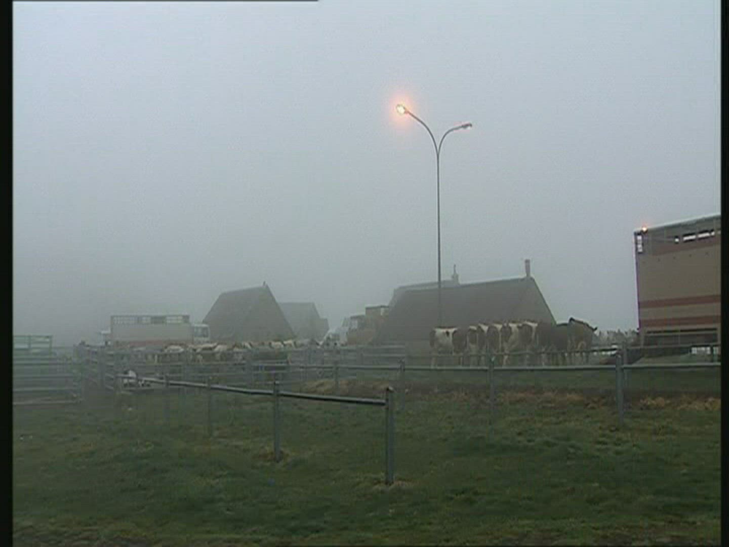 223916787 / Cattle-Market / Auvergne / France