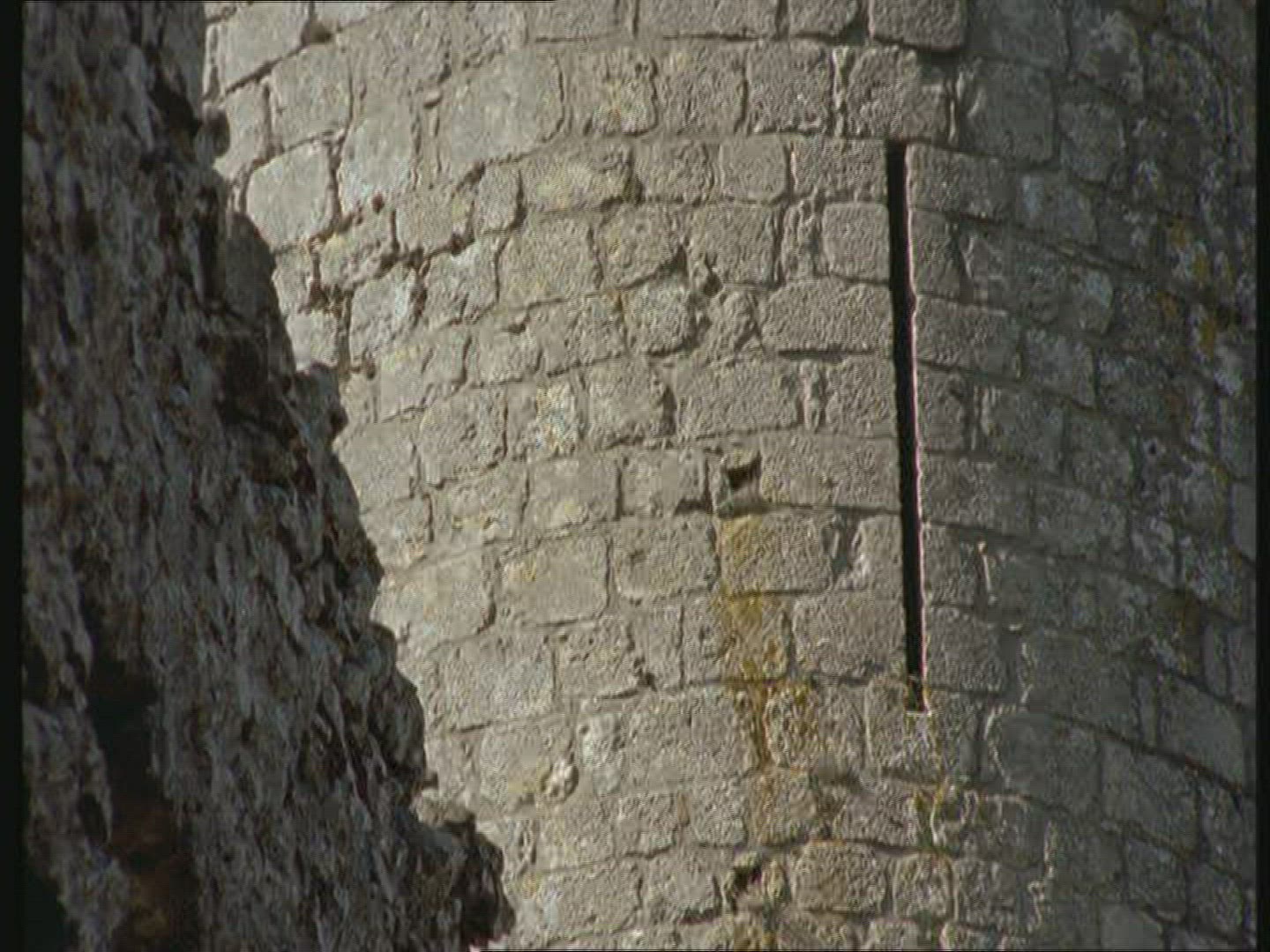 466445861 / Peyrepertuse / Castle / France