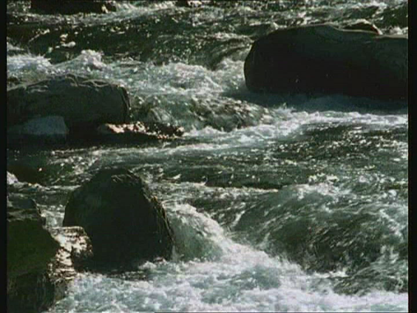 703355108 / Inn / River / Mid Europe