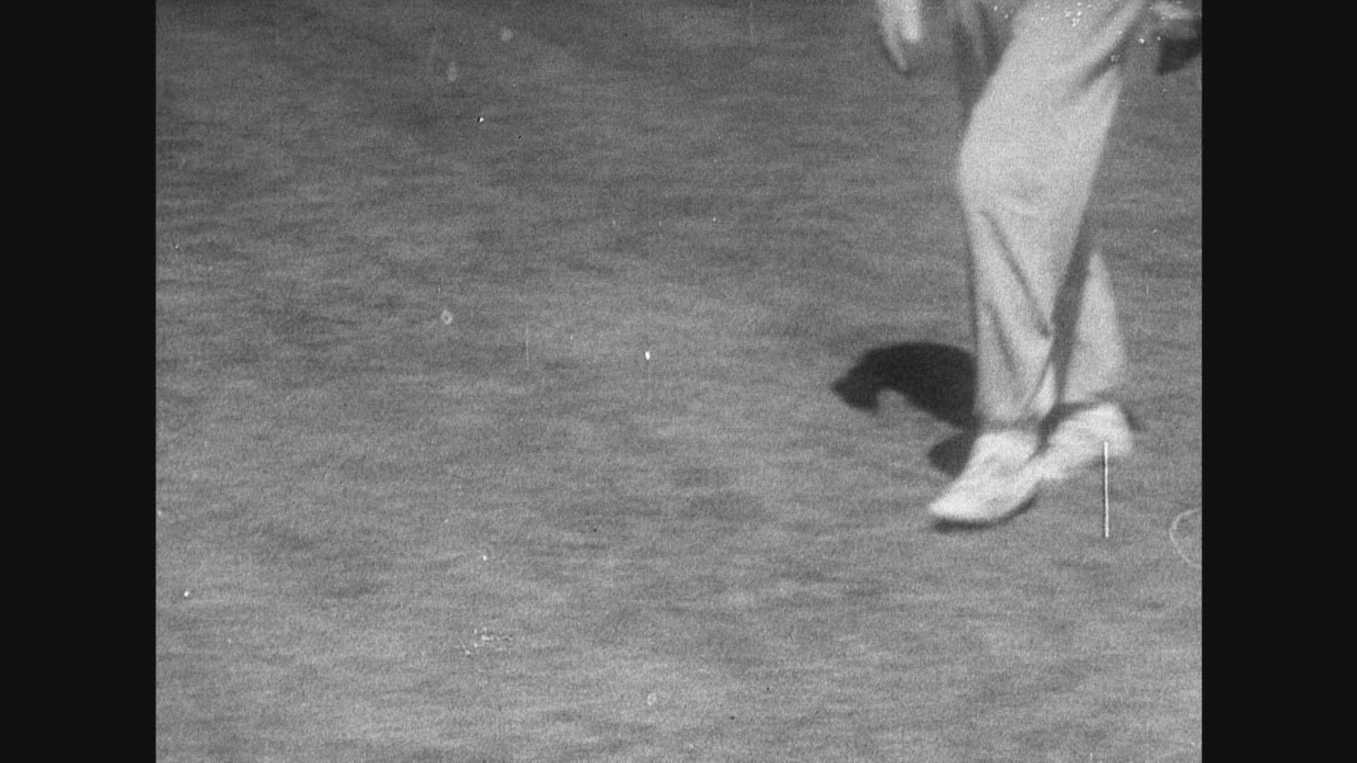 919160504 / Benfica Lissabon / Football Training / 1965