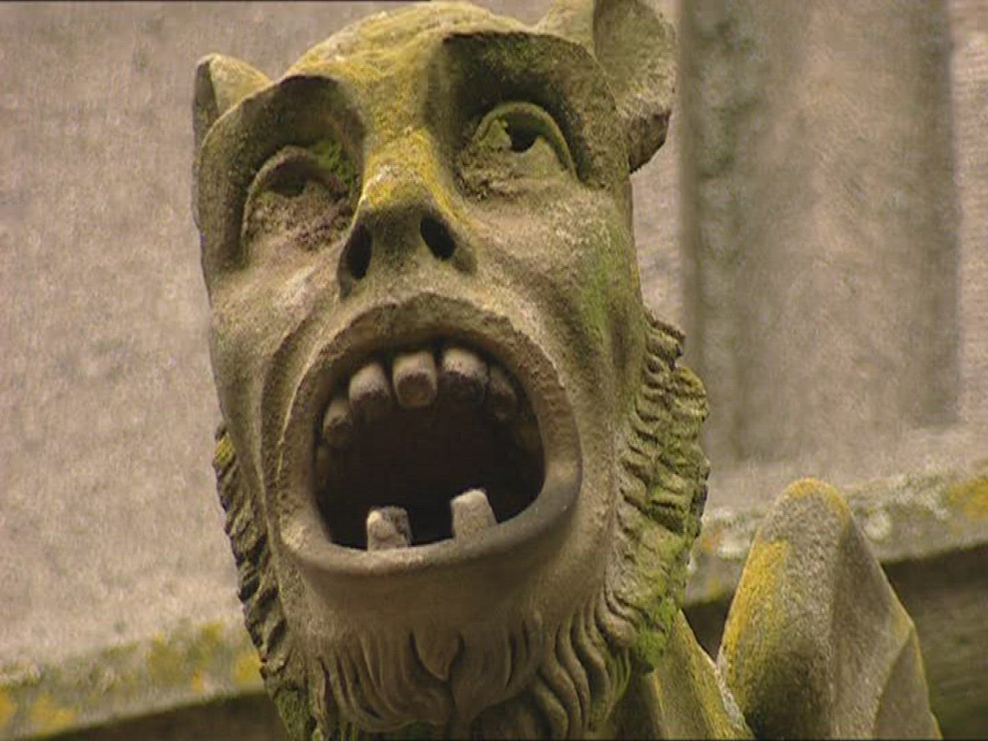 498023478 / Gargoyle / 's-Hertogenbosch / Netherlands