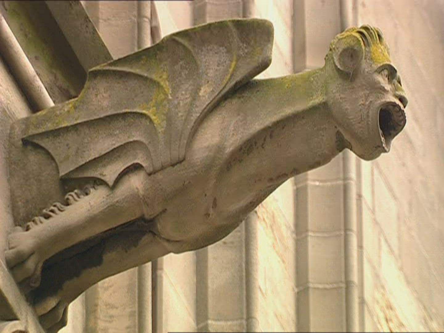 667660631 / Gargoyle / 's-Hertogenbosch / Netherlands
