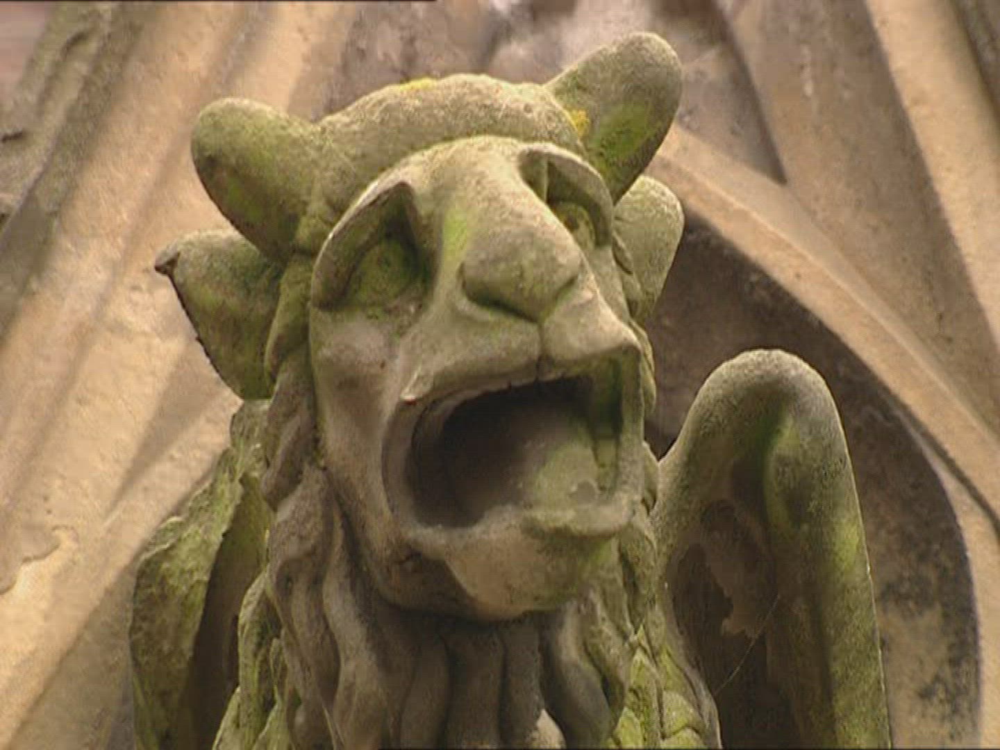 272055939 / Gargoyle / 's-Hertogenbosch / Netherlands