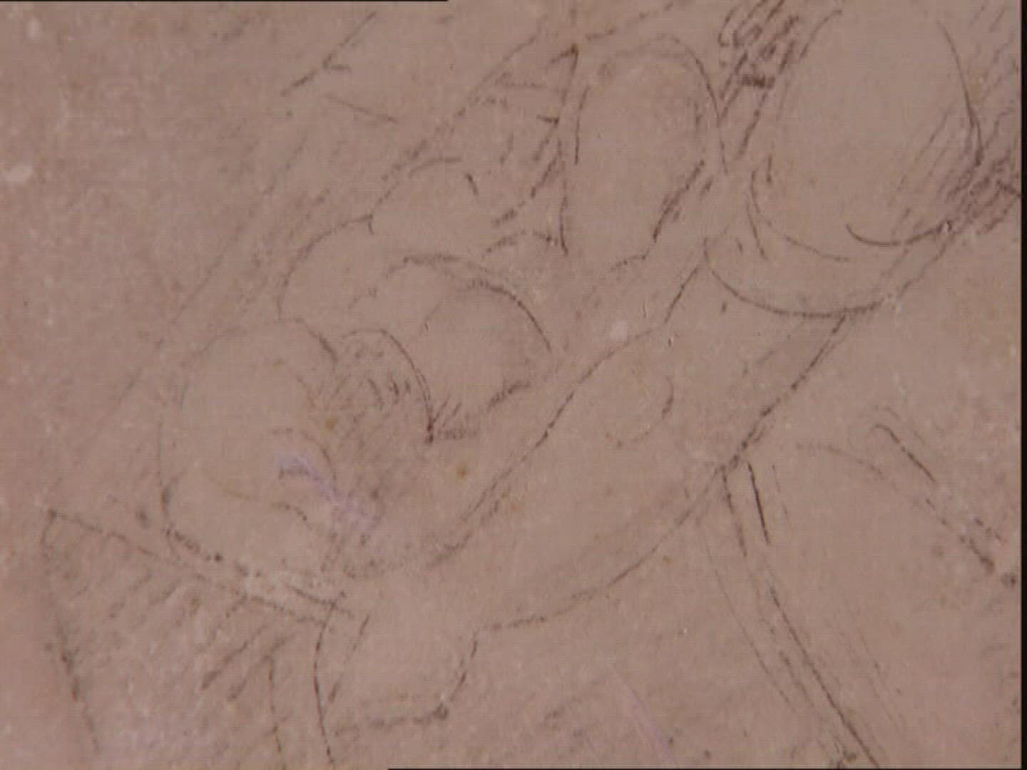 217712086 / Drawing / Raffael / Urbino / Marche / Italy