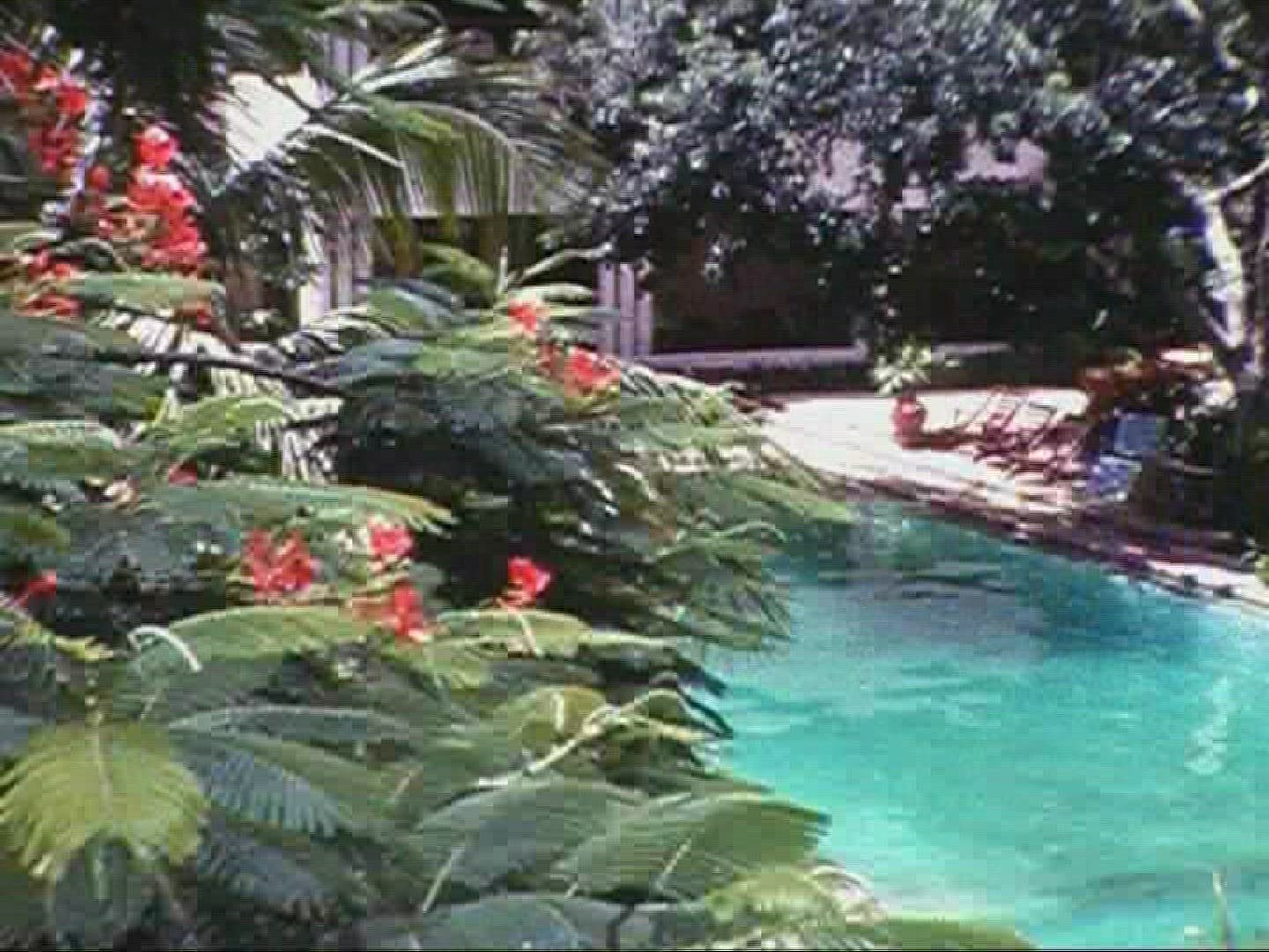 281362869 / Swimming Pool / 1966 / Mexico