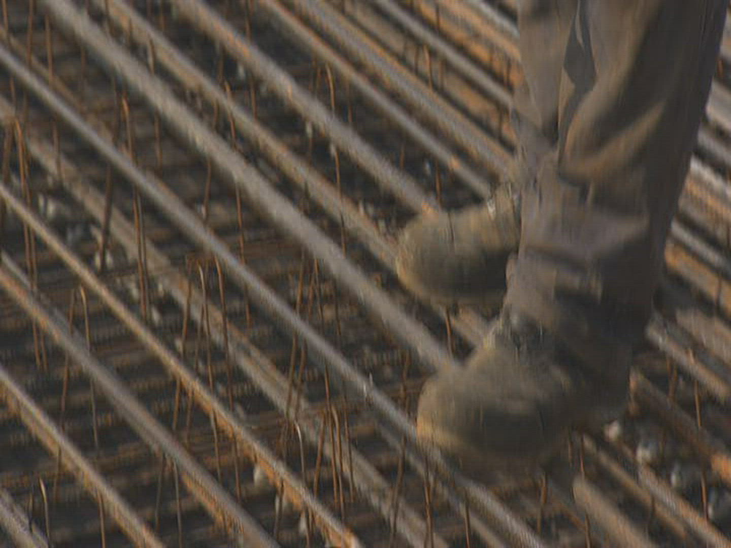 336251148 / Allianz Arena / 2004 / Munich / Germany