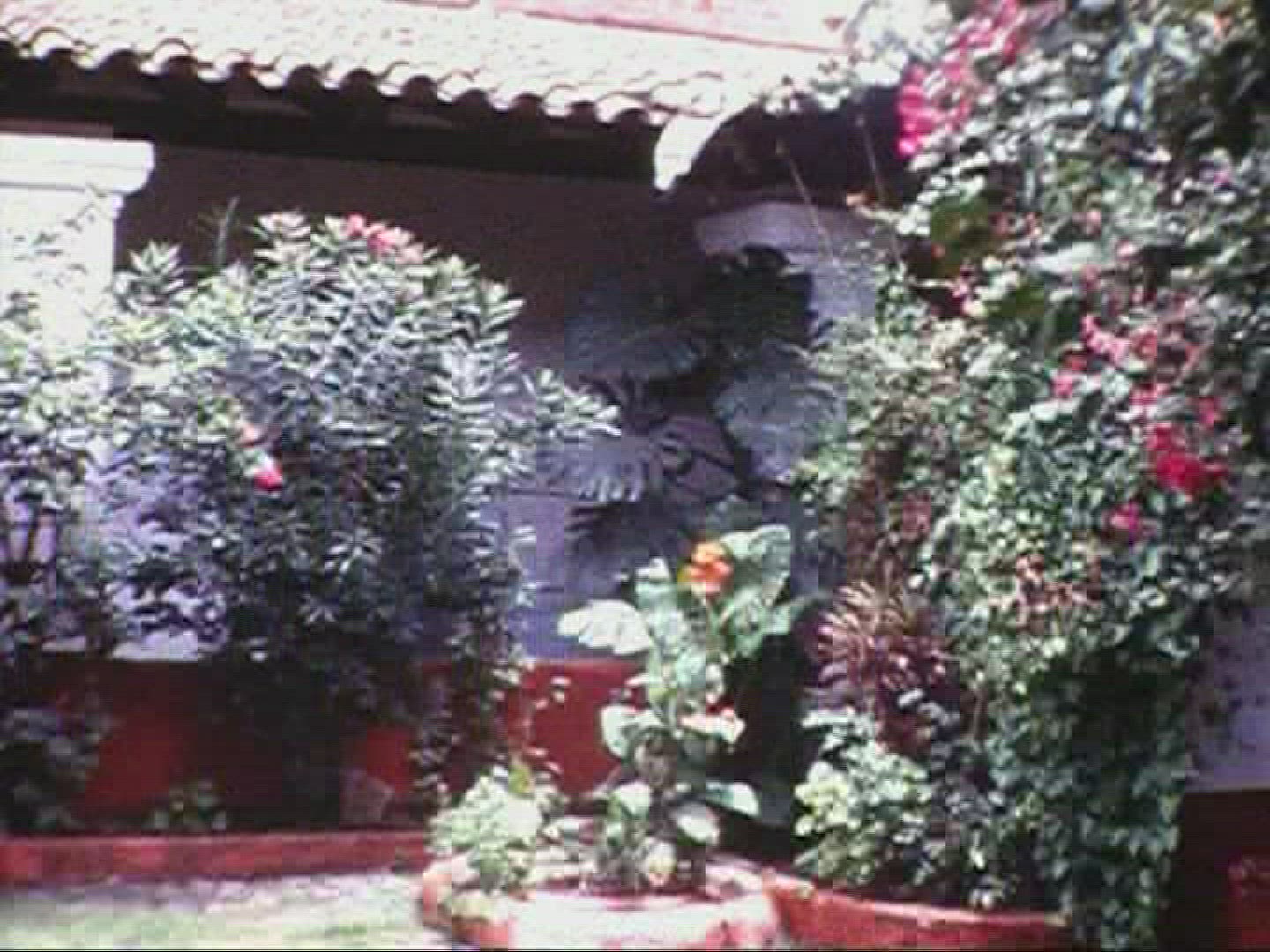 205165283 / Church / 1966 / Mexico