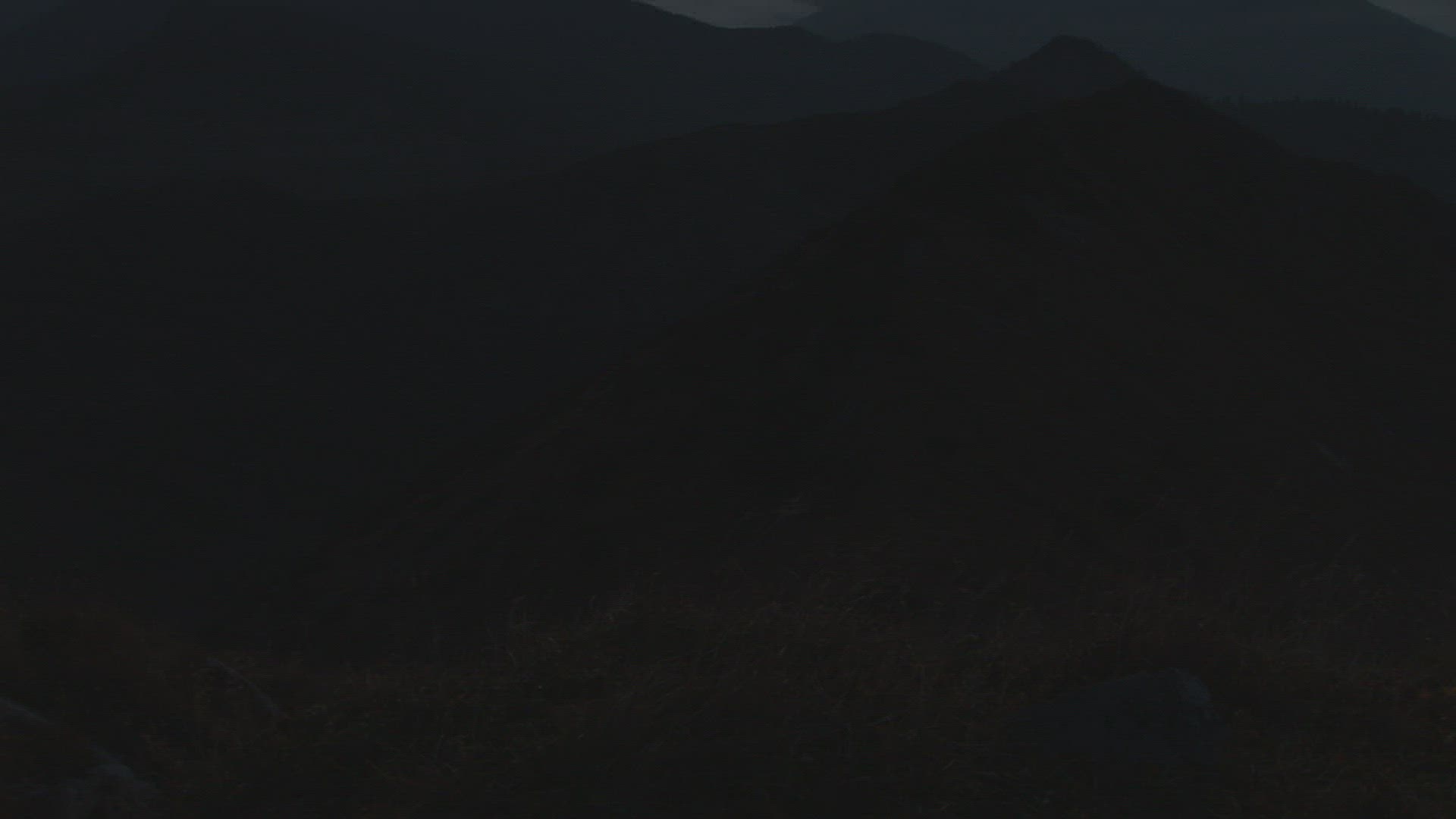 451561937 / Bavarian Alps / Germany