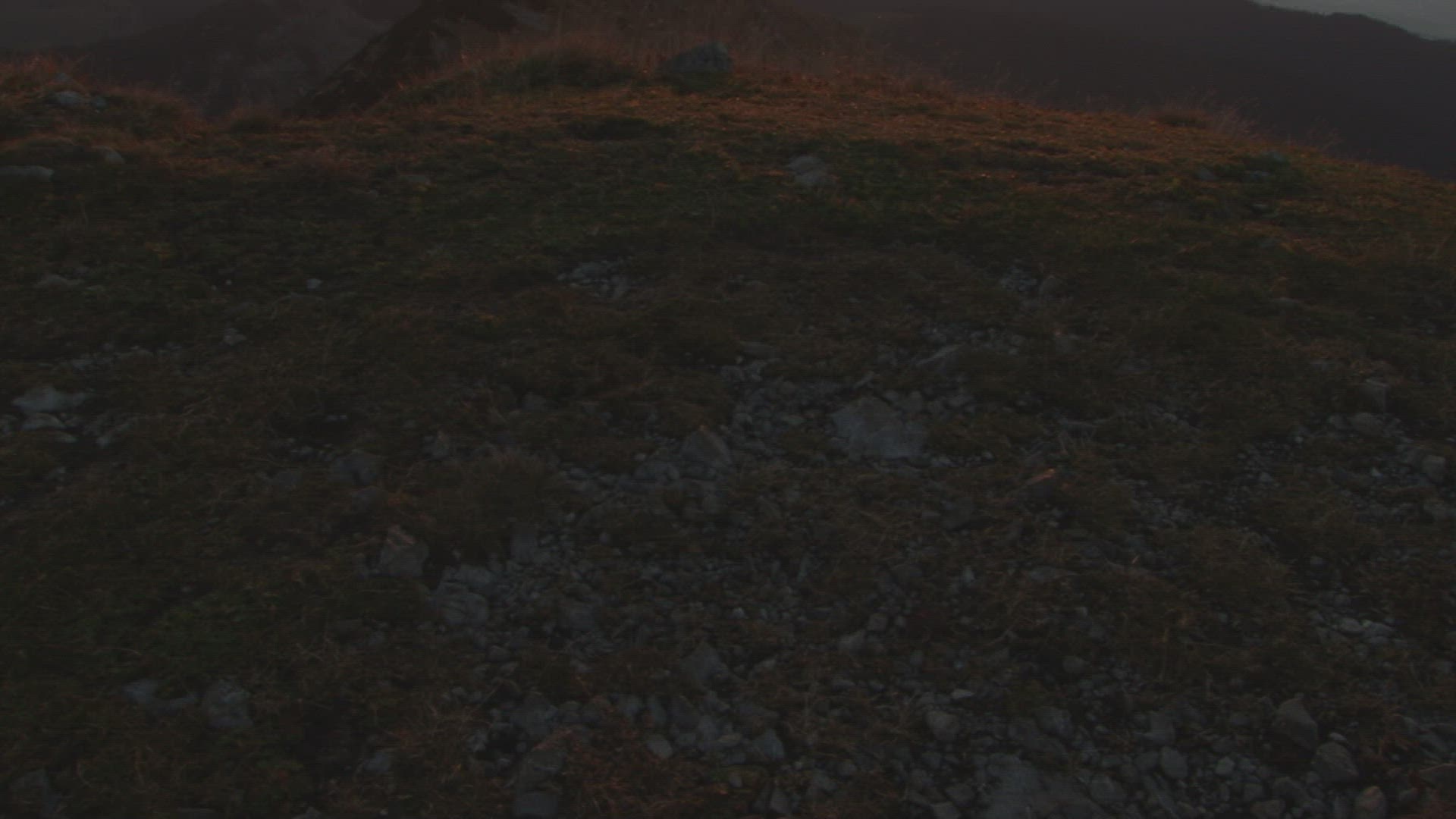 228798612 / Bavarian Alps / Germany