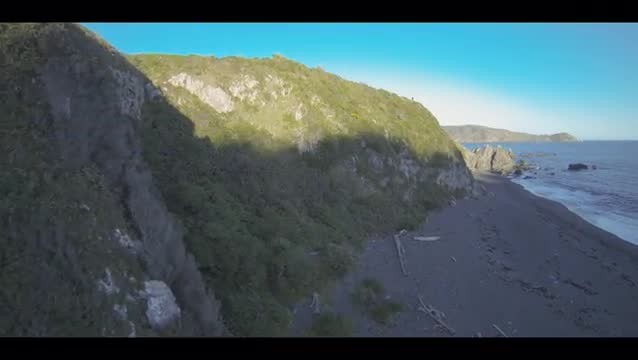 Aerial Breaker Bay Wellington New Zealand 10
