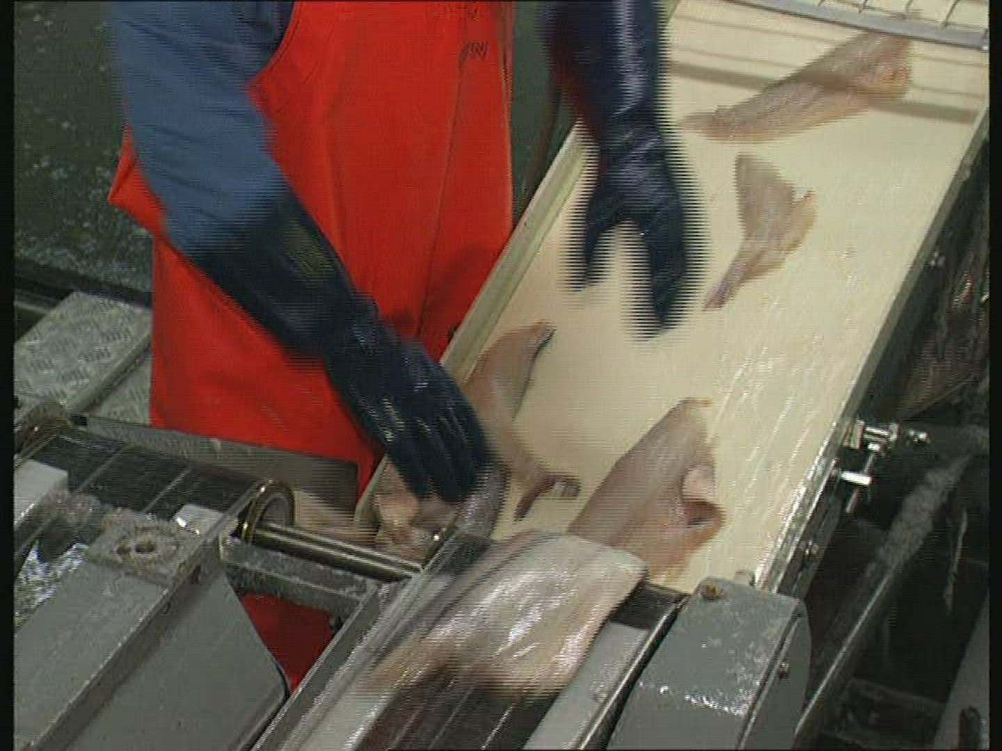 764262785 / Fish Production / Iceland