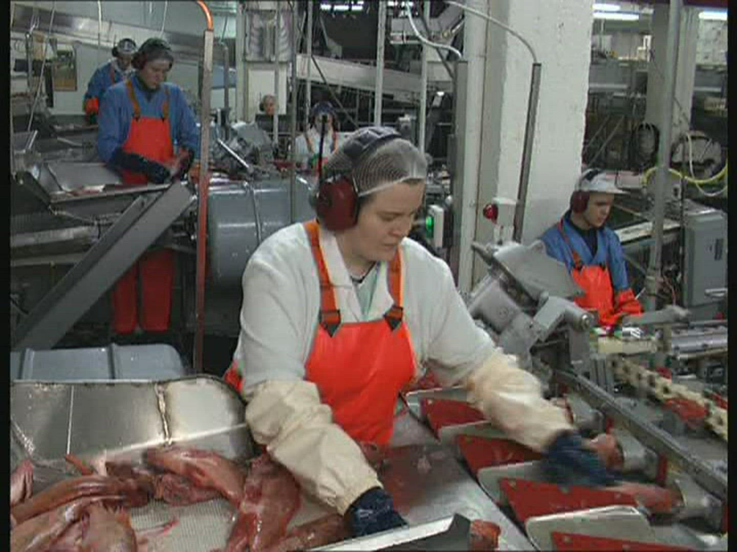 714636695 / Fish Production / Iceland