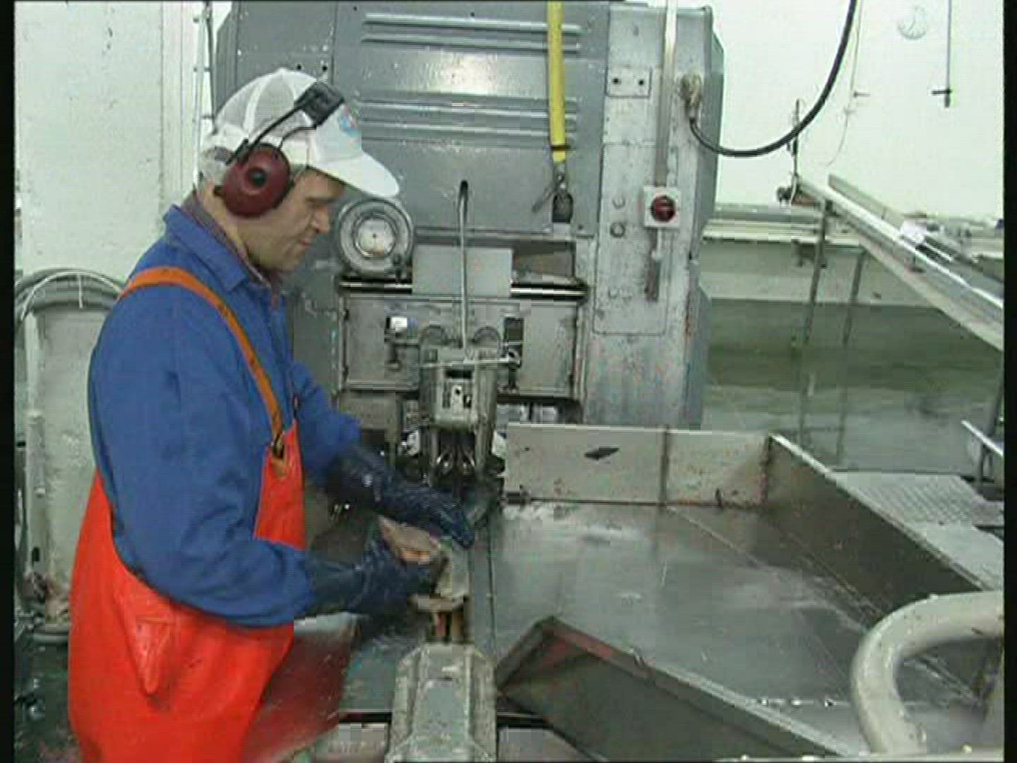 172829851 / Fish Production / Iceland