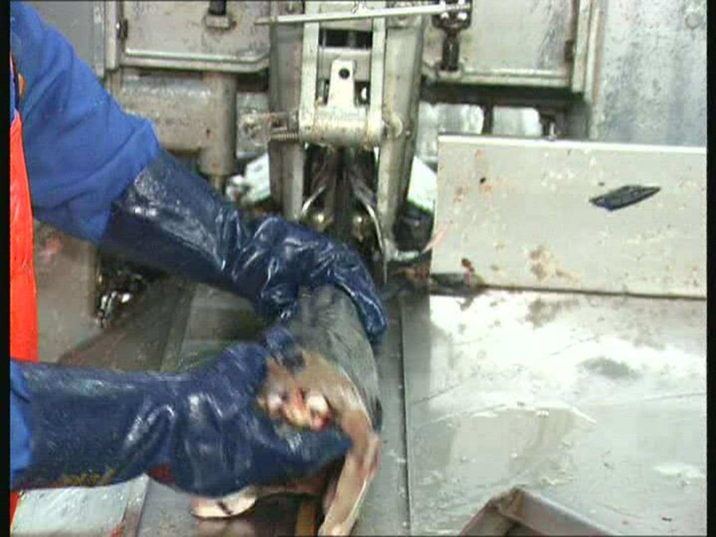 984257357 / Fish Production / Iceland