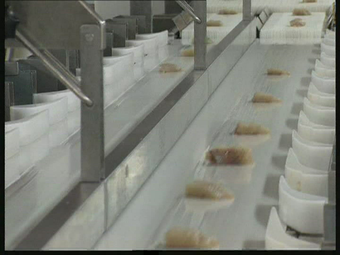 990187855 / Fish Production / Iceland
