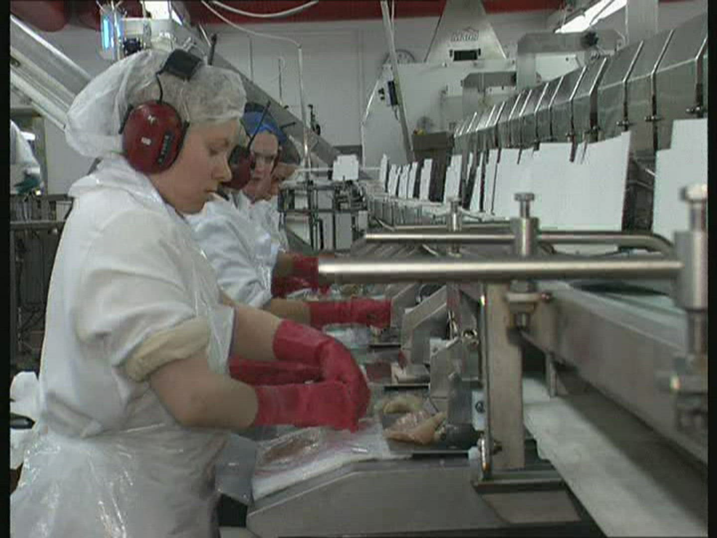 207860434 / Fish Production / Iceland