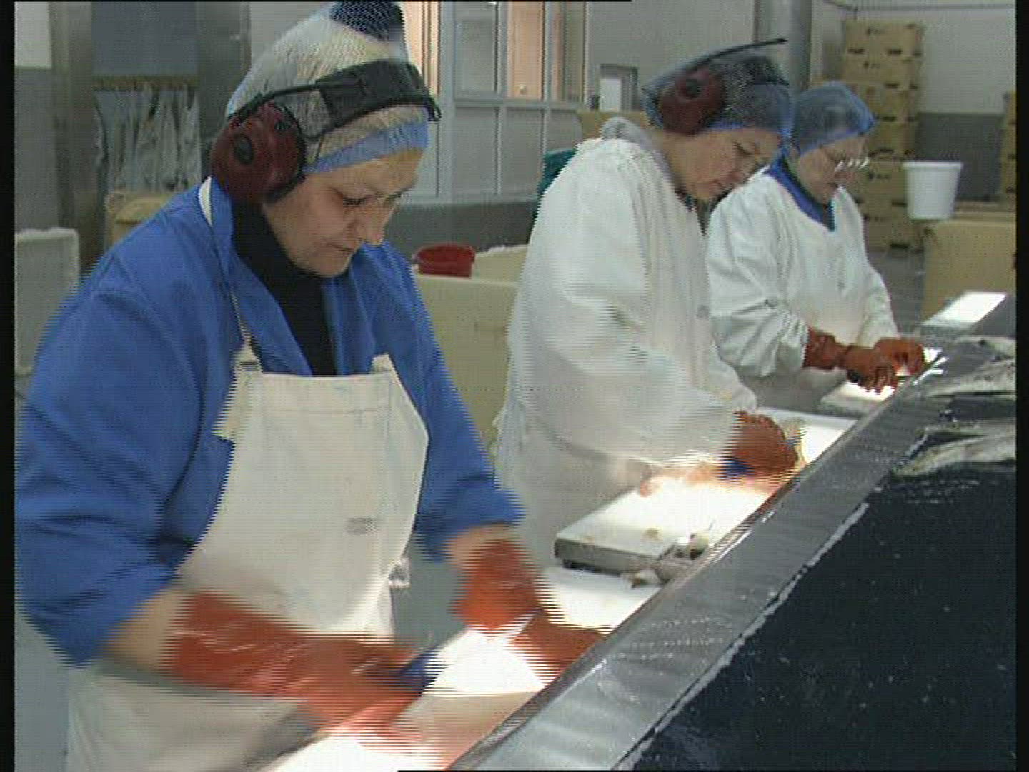 347614033 / Fish Production / Iceland