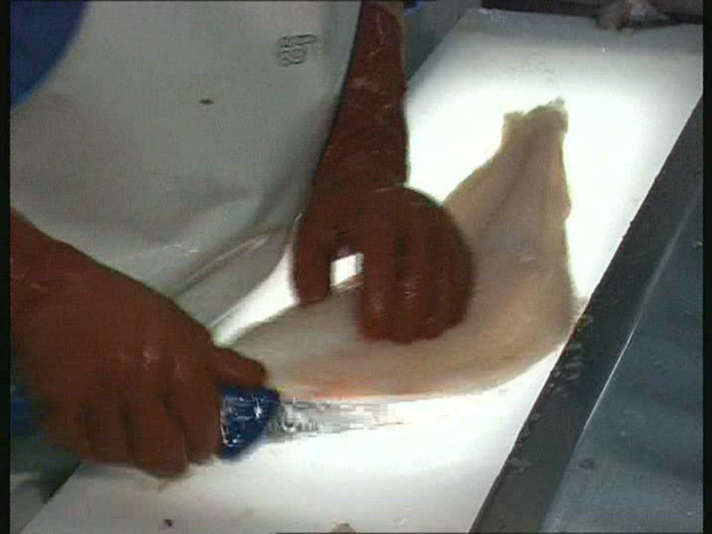462585442 / Fish Production / Iceland
