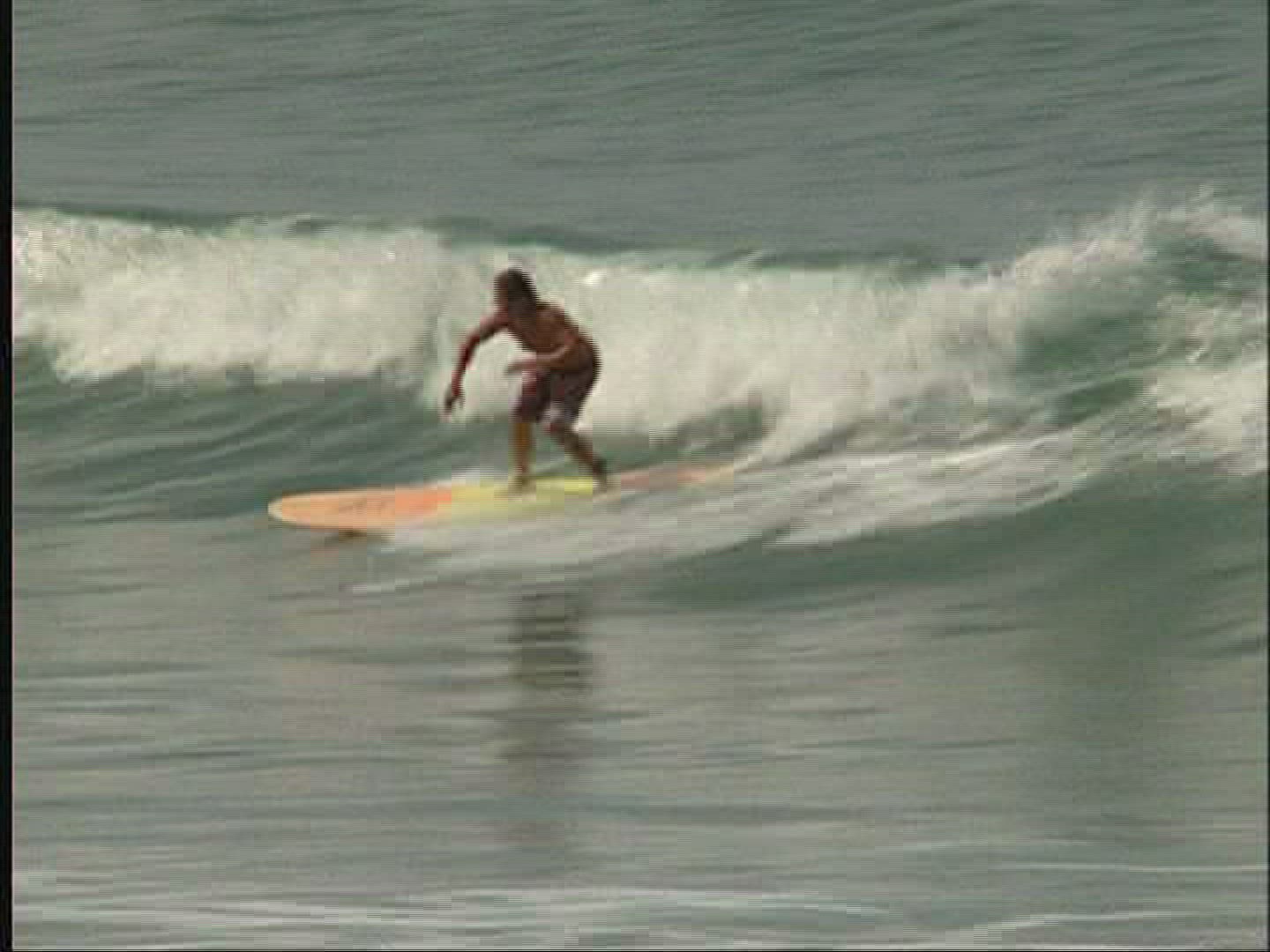 360443524 / Surfing / Wave Riding
