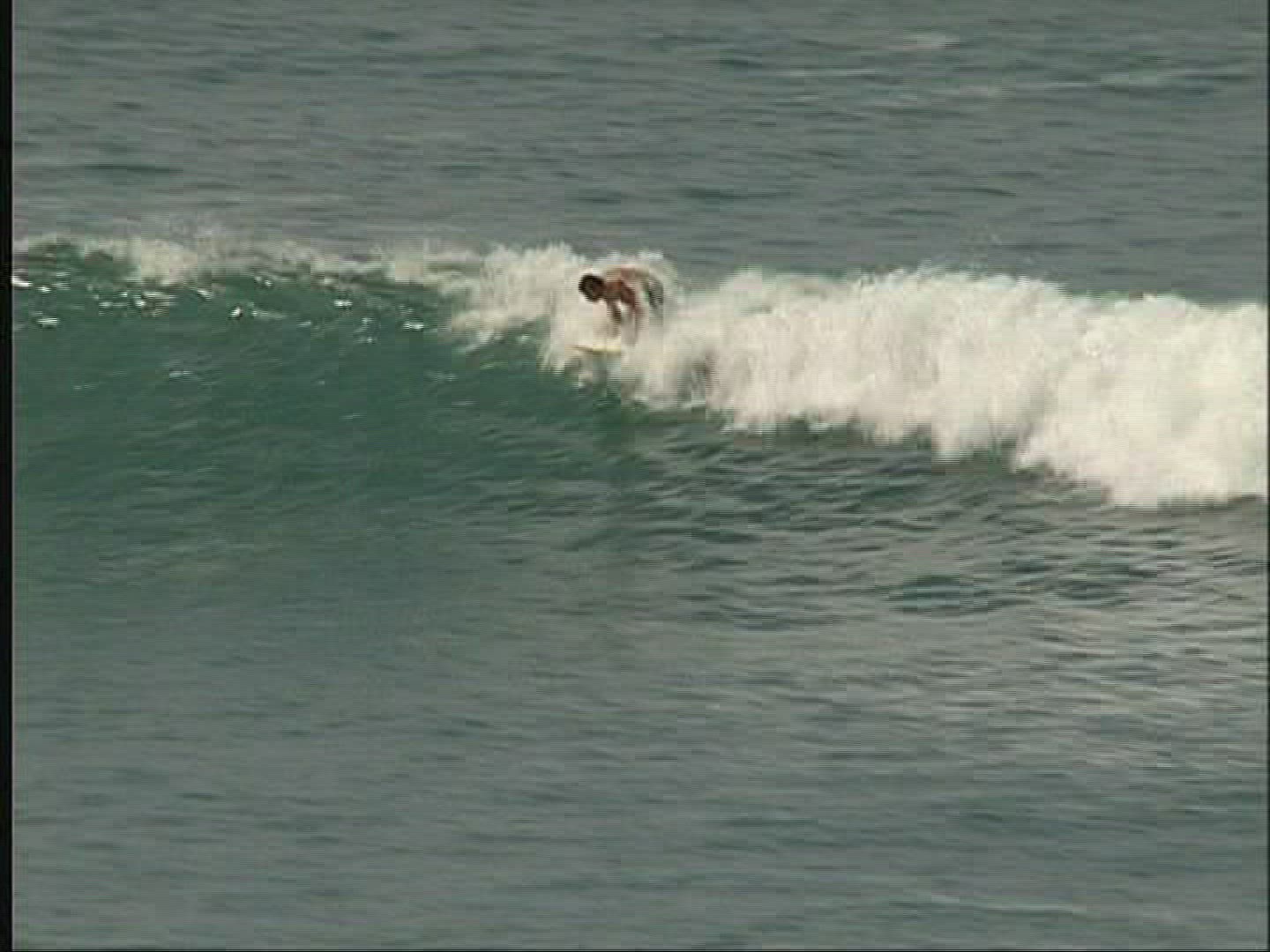 331857501 / Surfing / Wave Riding