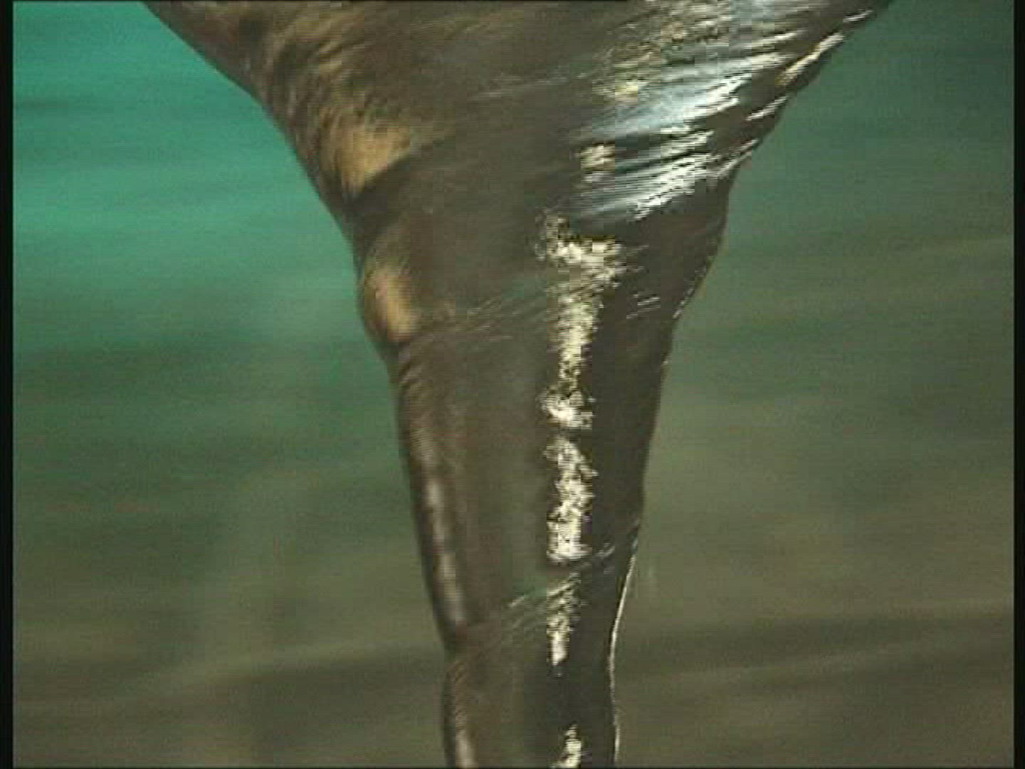 767574747 / Water / Ice