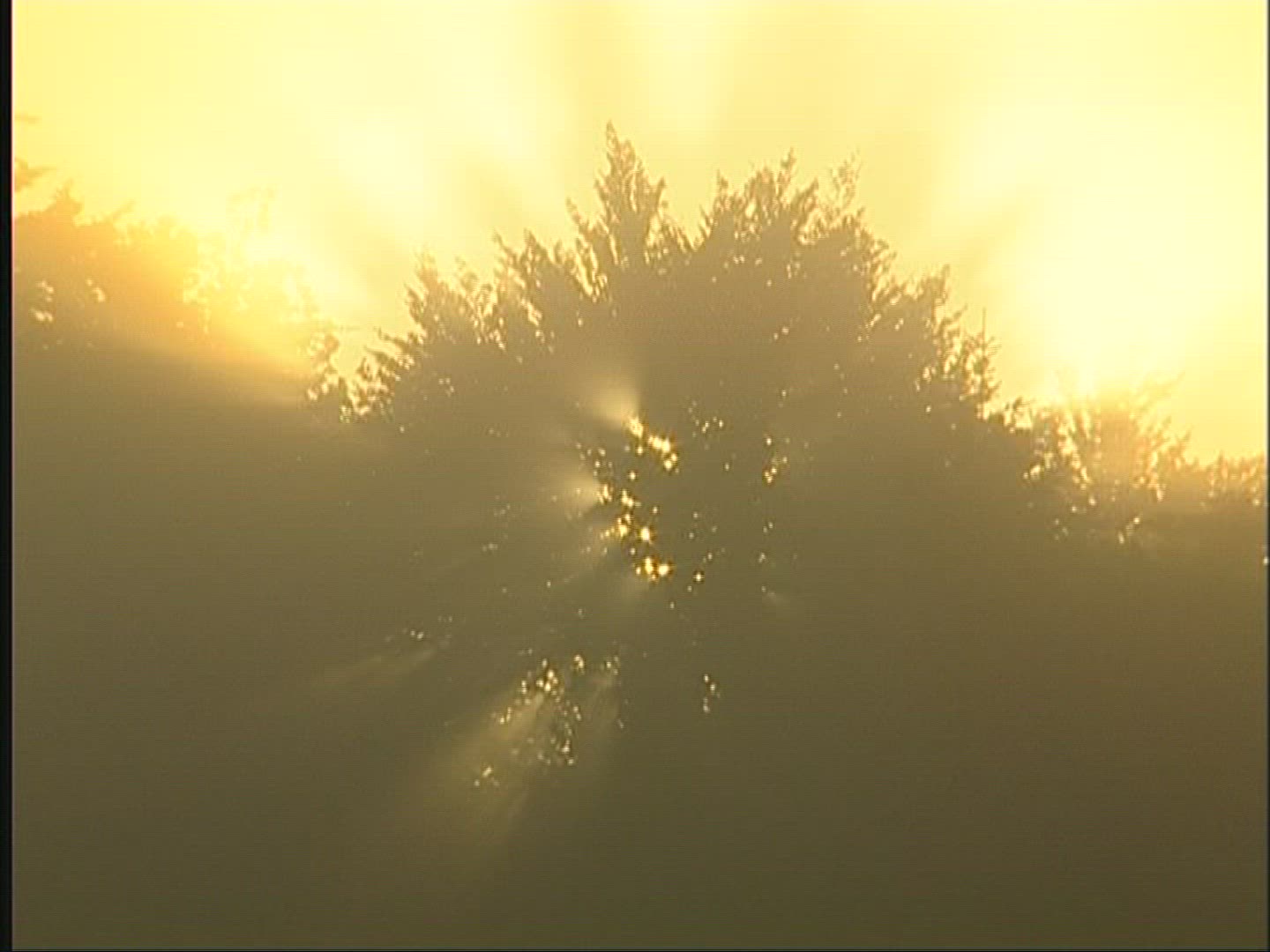 368521148 / Landscape / Fog / Europe