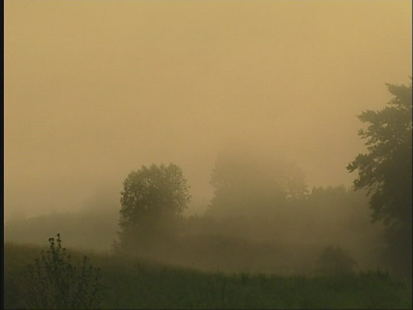 539495996 / Landscape / Fog / Europe