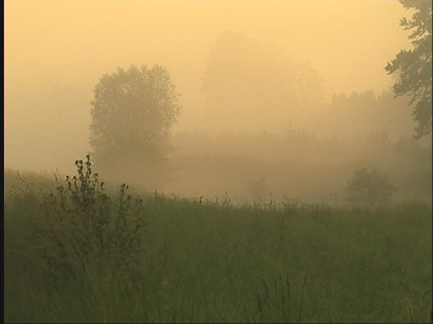 190642848 / Landscape / Fog / Europe