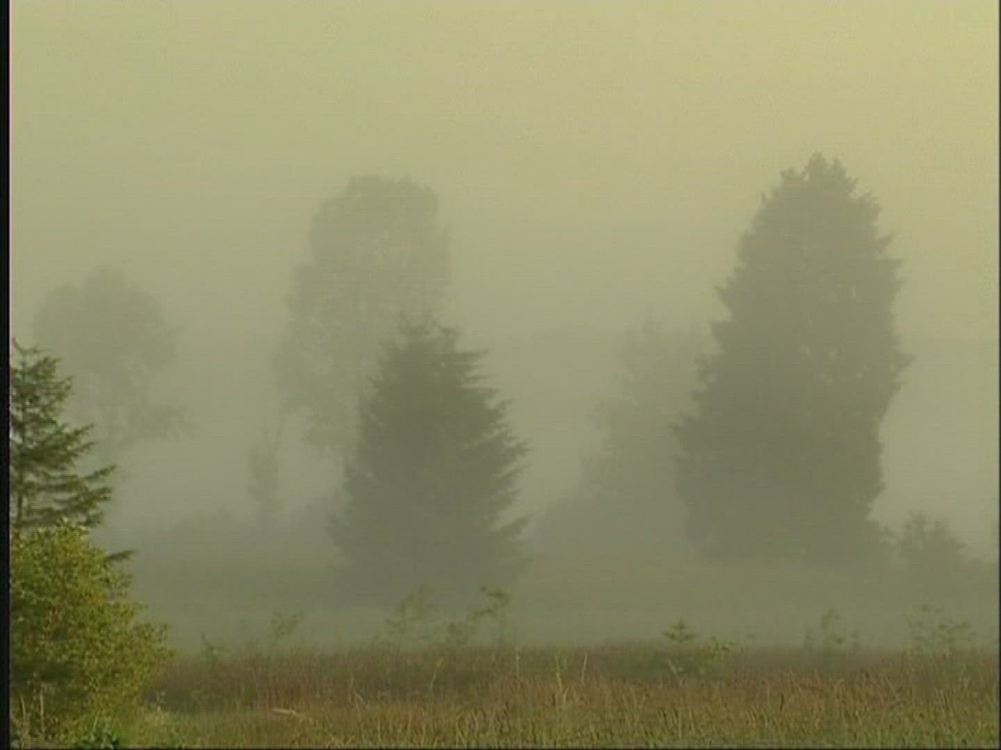 394341791 / Landscape / Fog / Europe