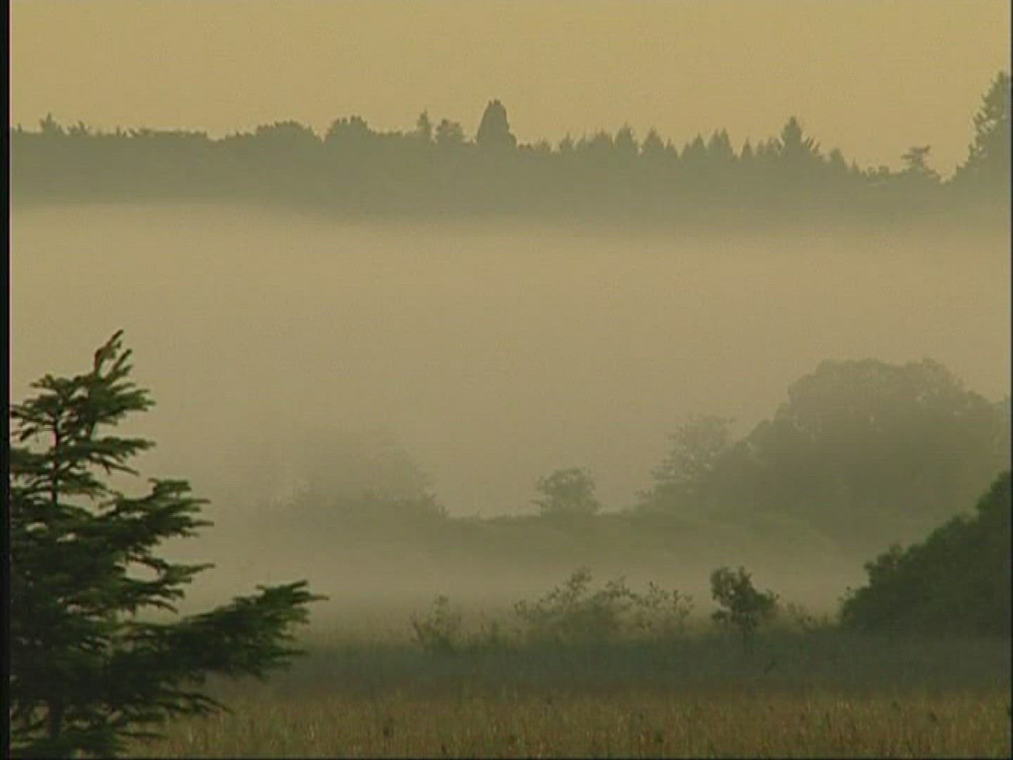 457650076 / Landscape / Fog / Europe