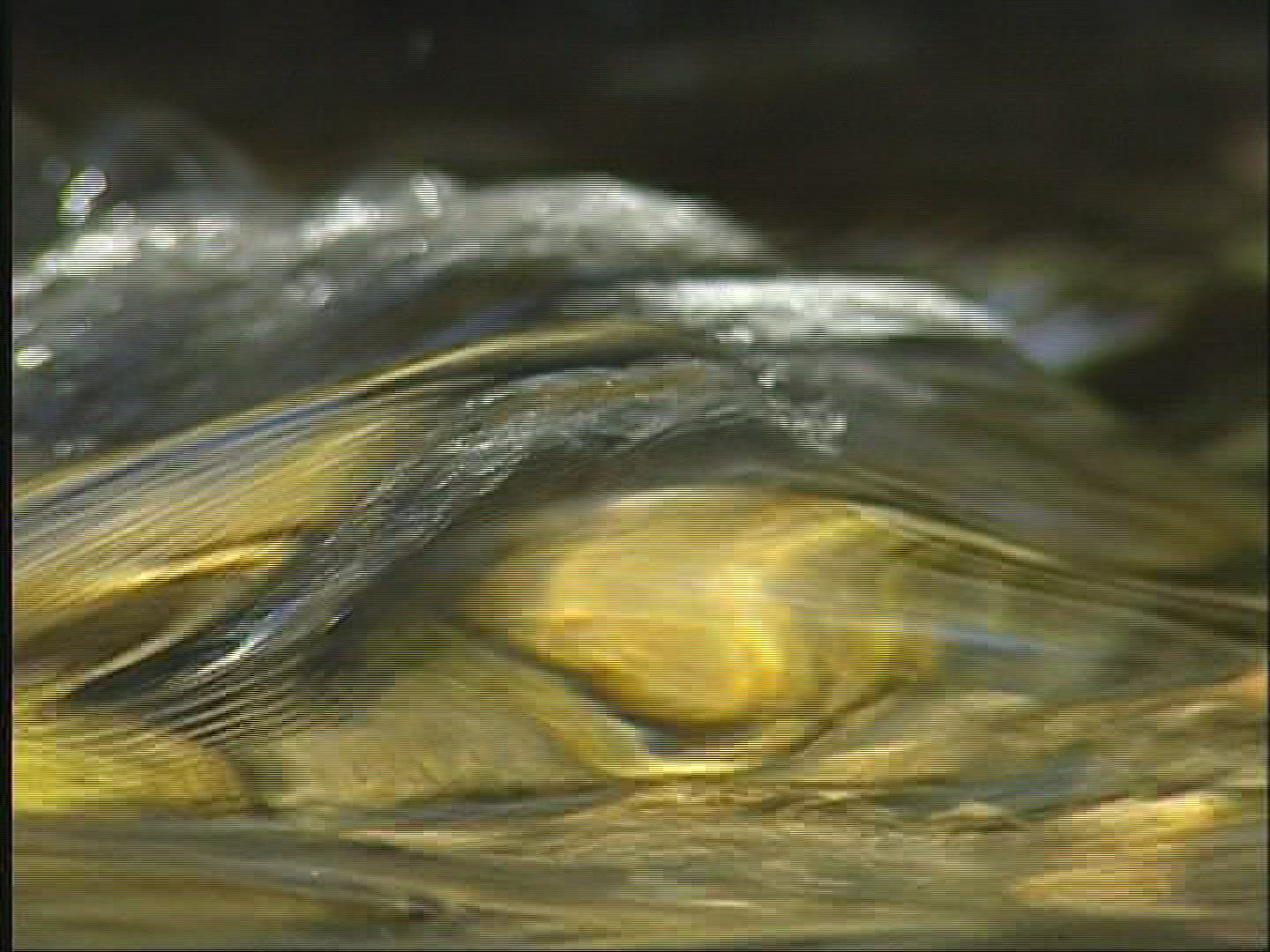 381682449 / Water / Current