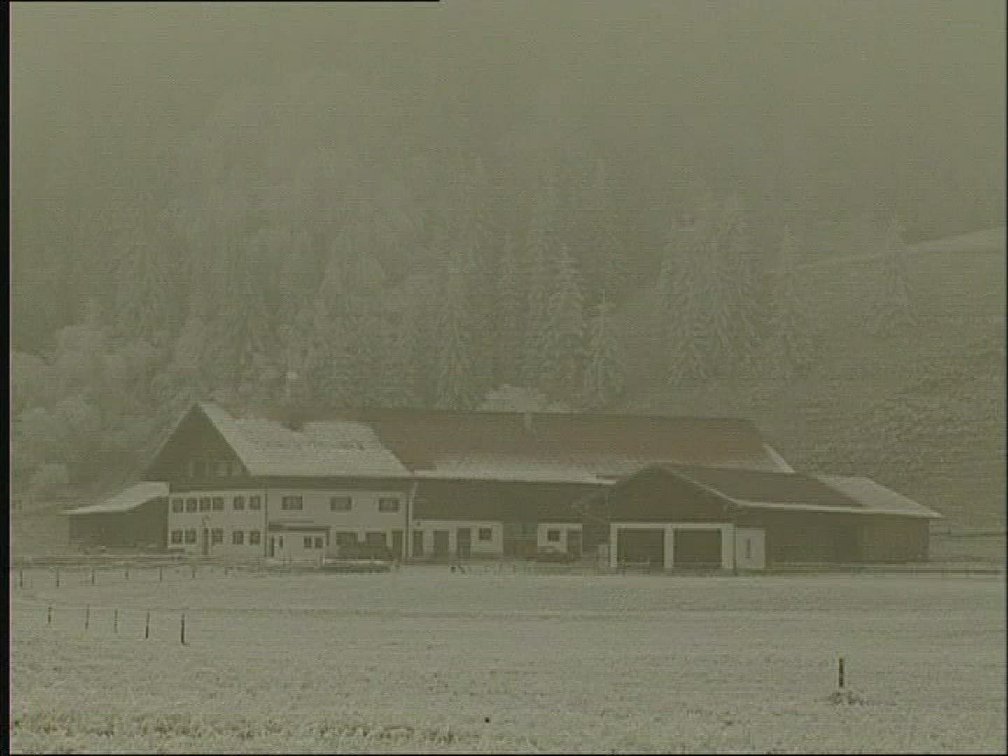 344854594 / Snow / Fog / Germany