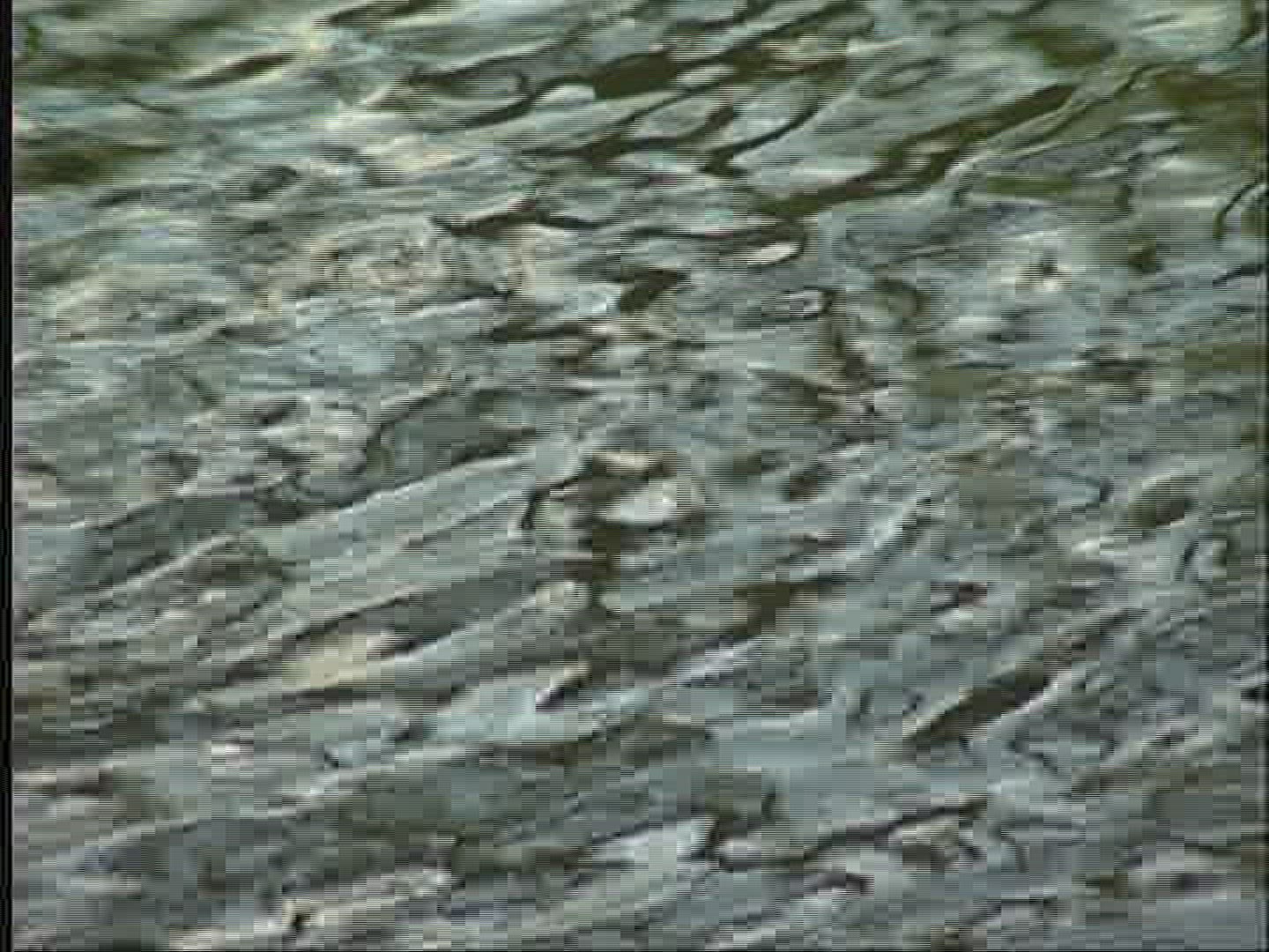 175939123 / Water / Current