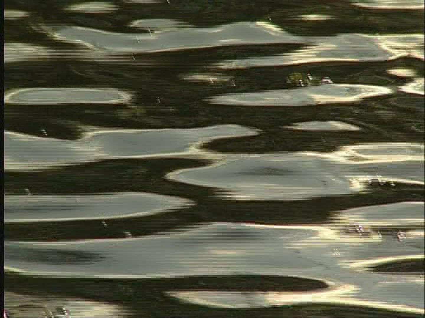 254635707 / Water / Current