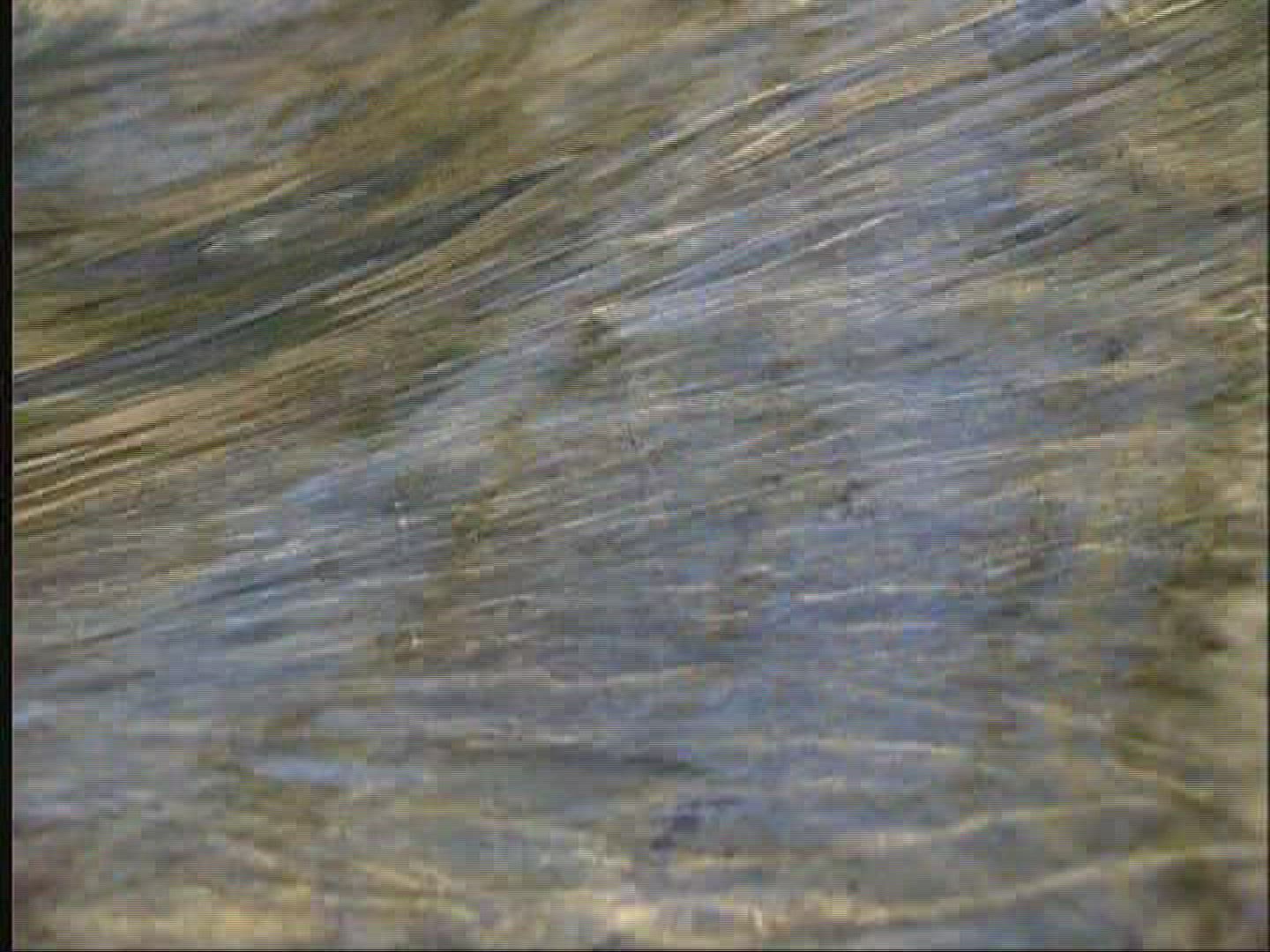 659382301 / Water / Current