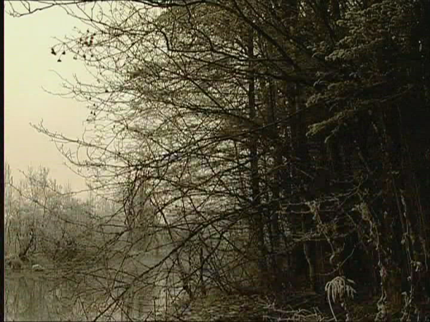 117752973 / Snow / Lake / Fog / Germany