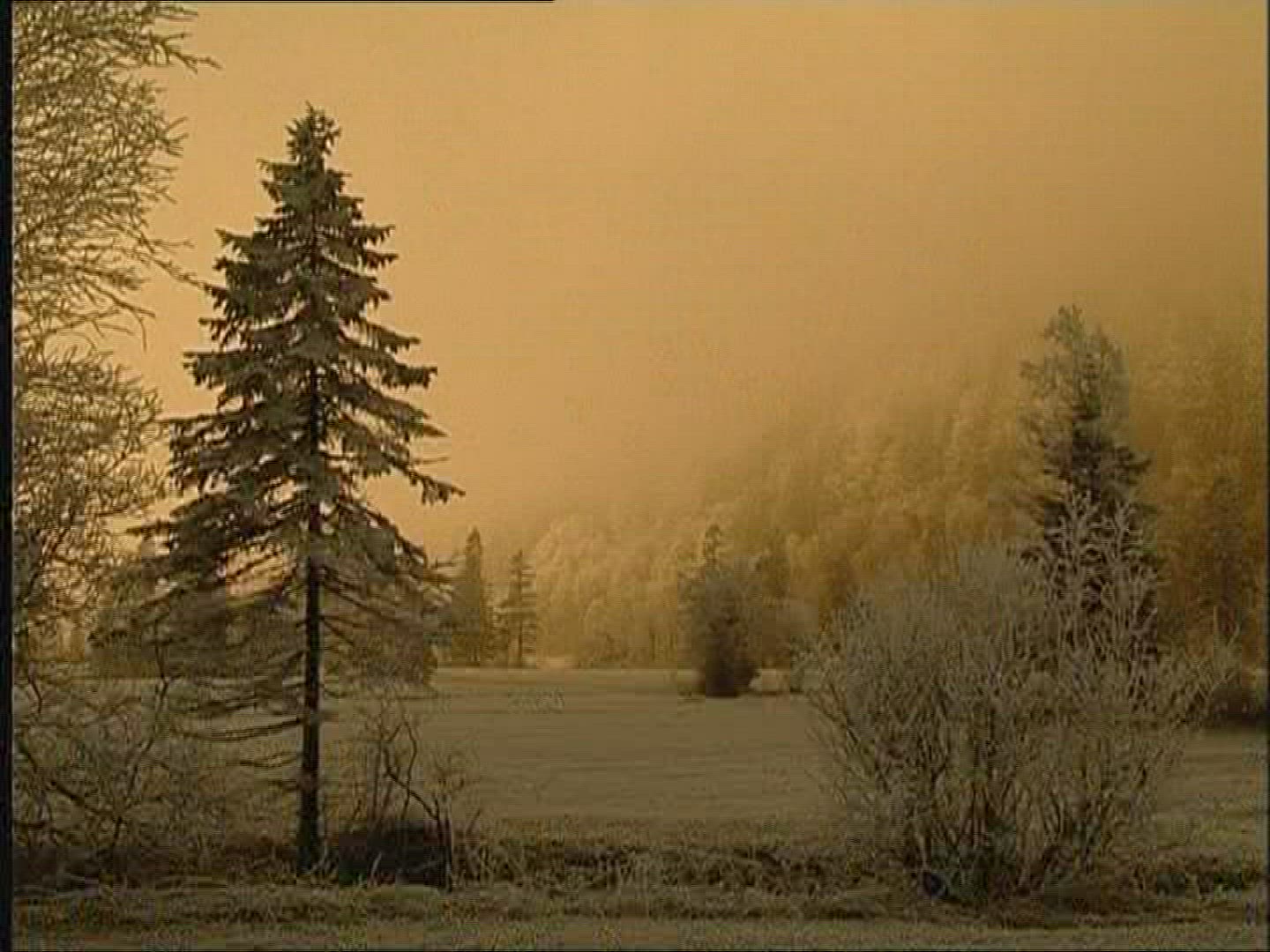832691503 / Snow / Dusk / Germany