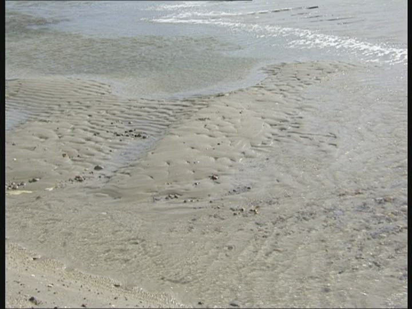 723246431 / Water / Current