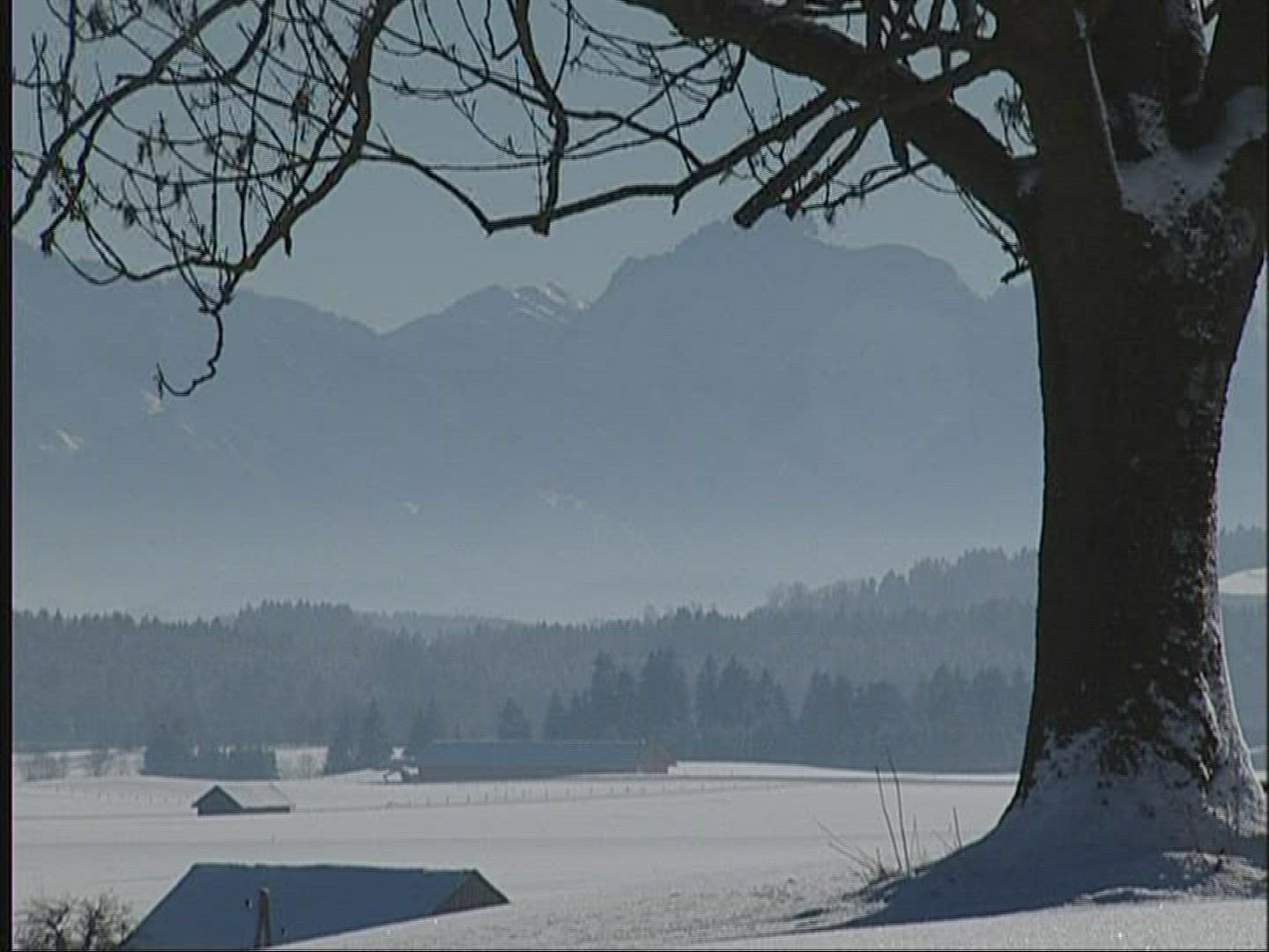 830890921 / Snowscape / Alpine Foreland / Germany
