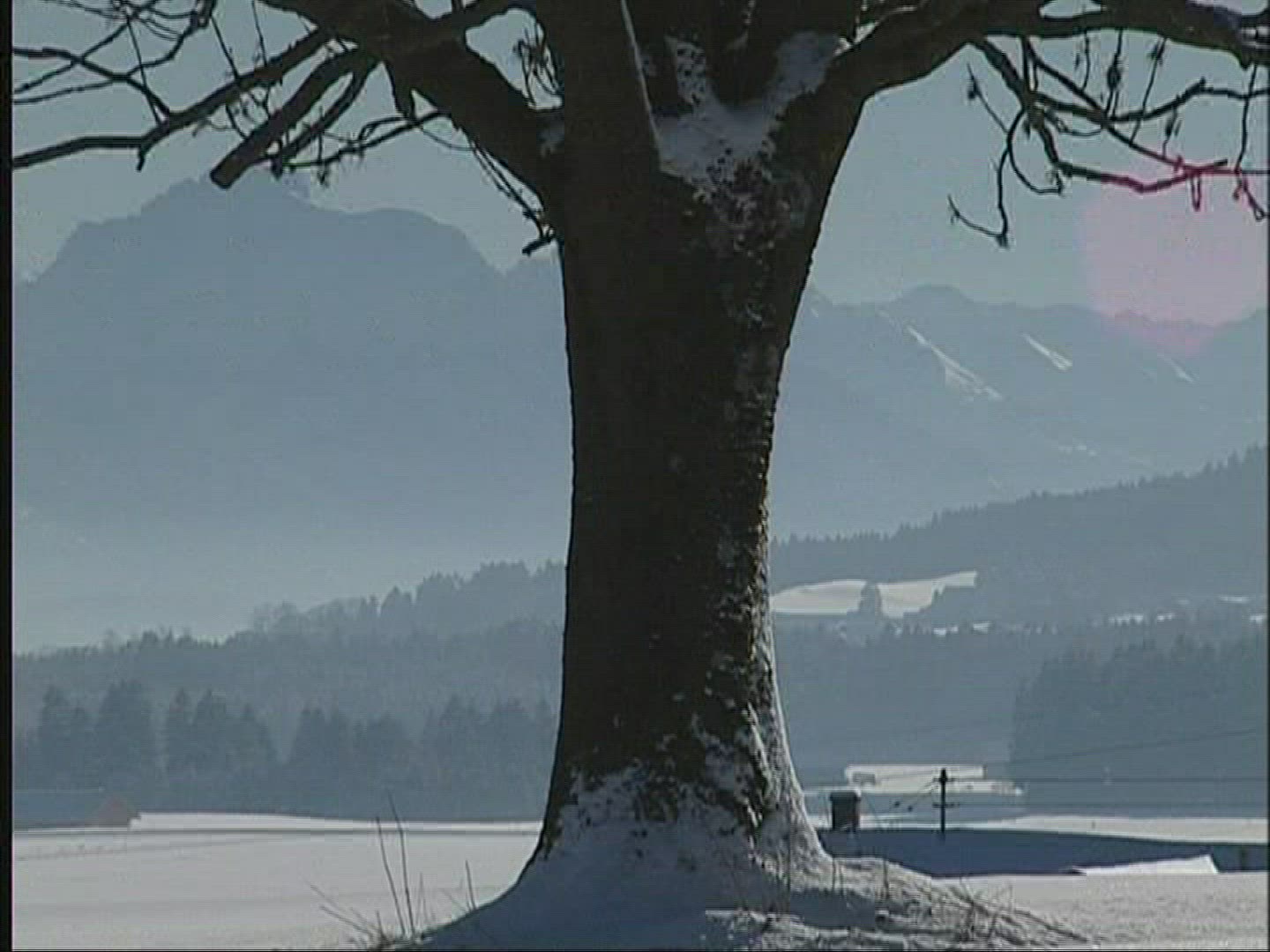 892549310 / Snowscape / Alpine Foreland / Germany
