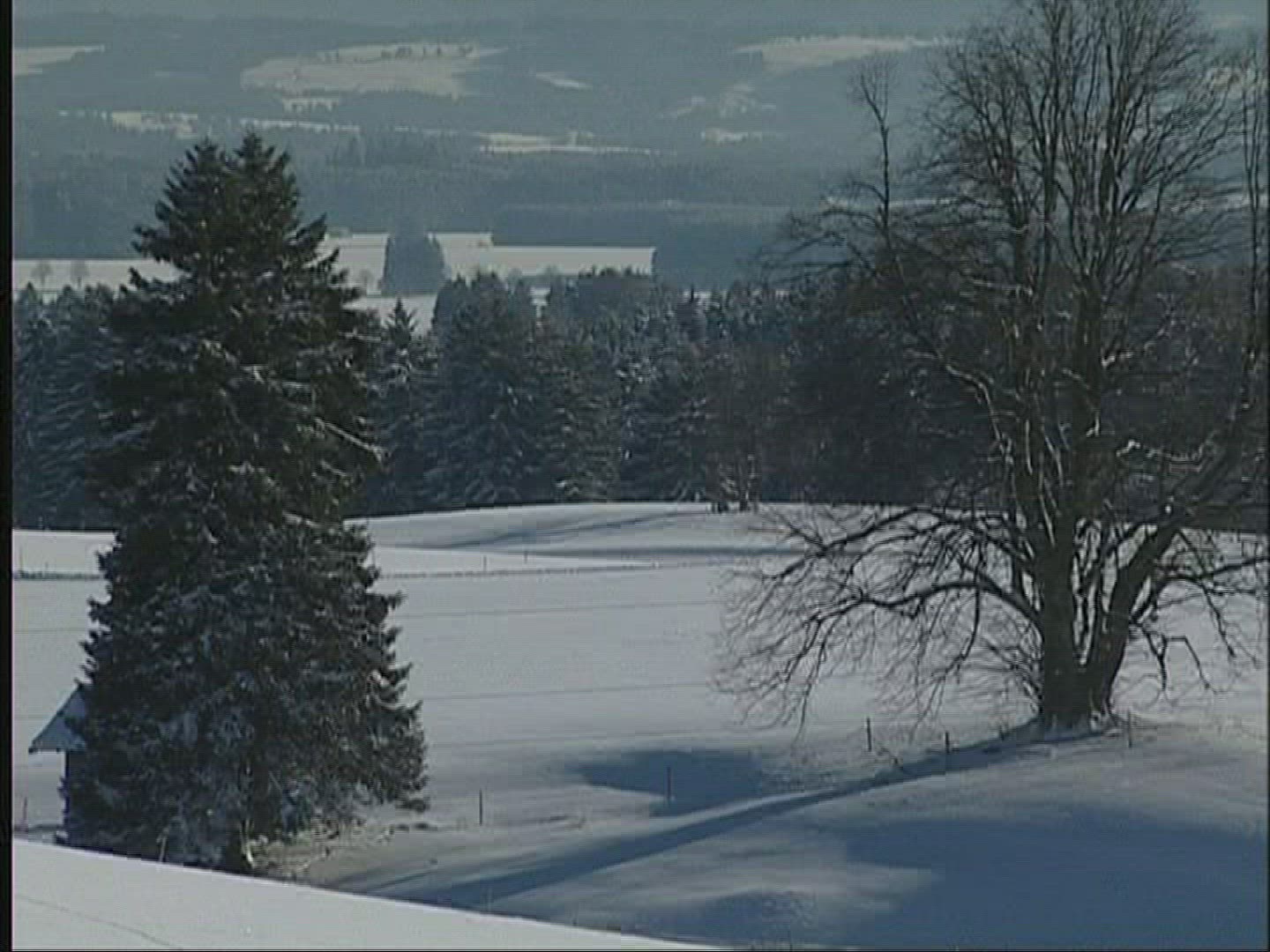268005139 / Snowscape / Alpine Foreland / Germany