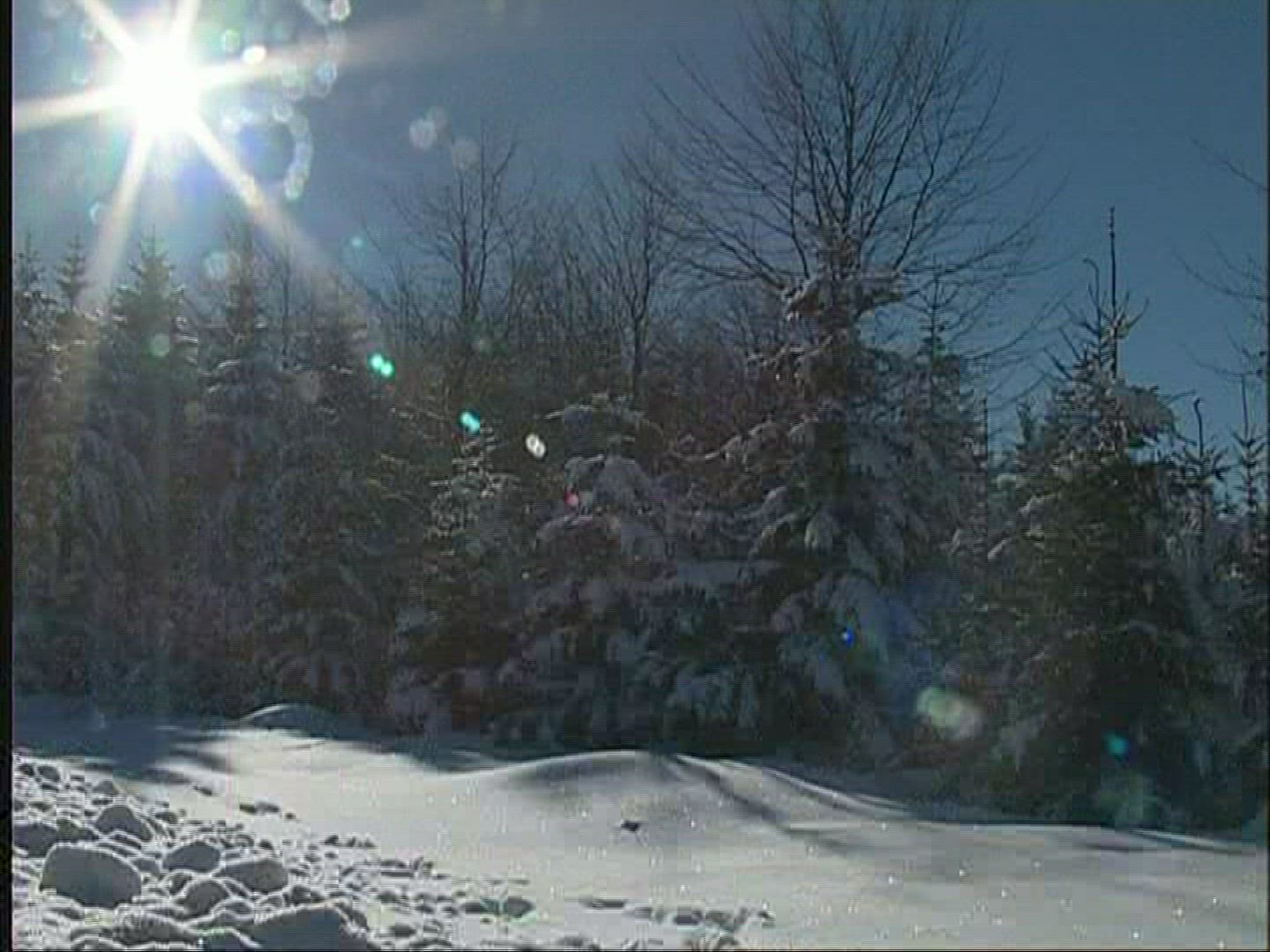 924603514 / Snowscape / Alpine Foreland / Germany