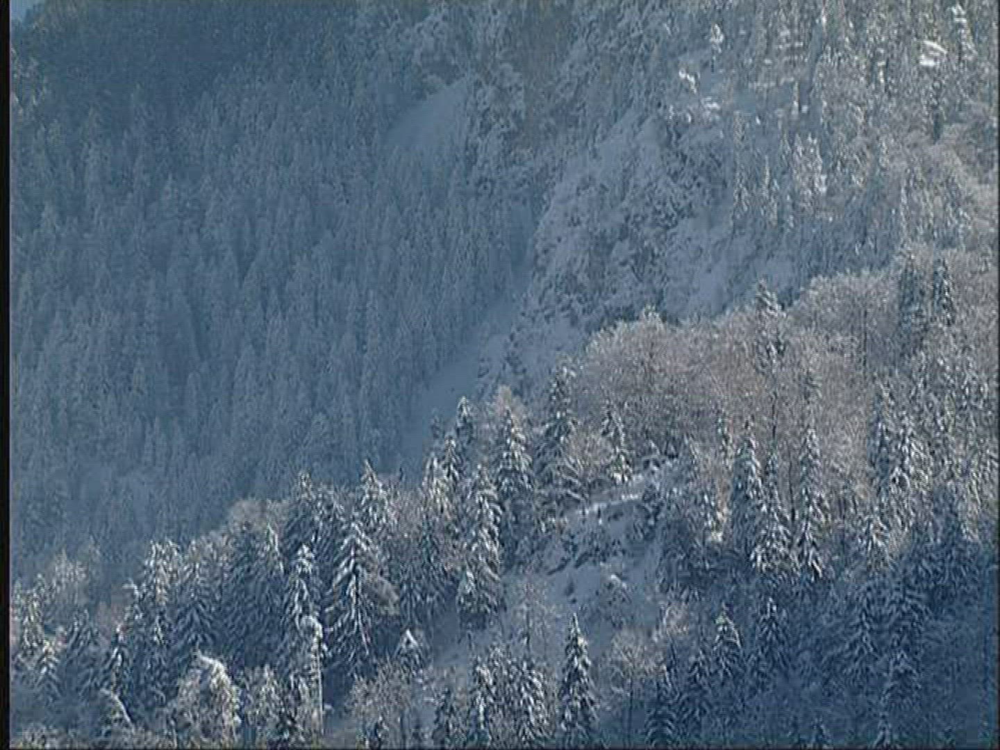 781837127 / Winter / Bavaria / Germany