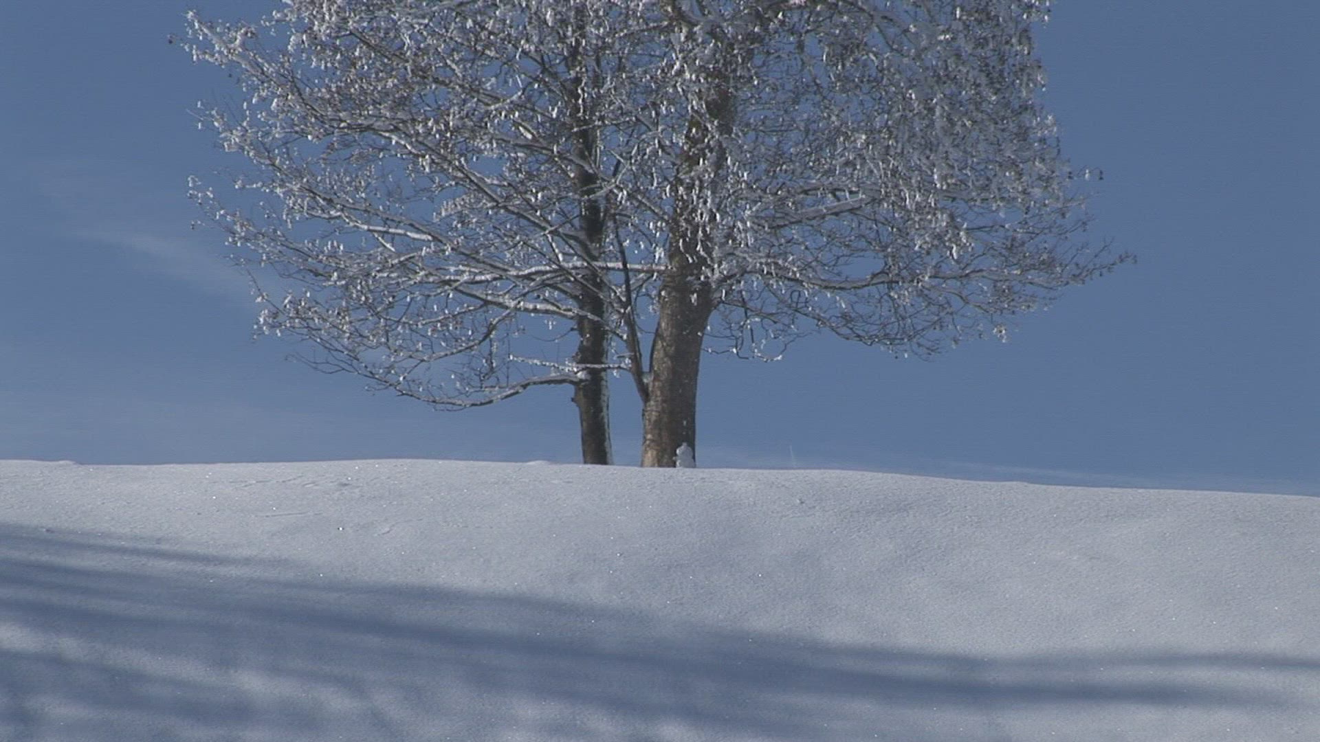 907894273 / Snow / Germany