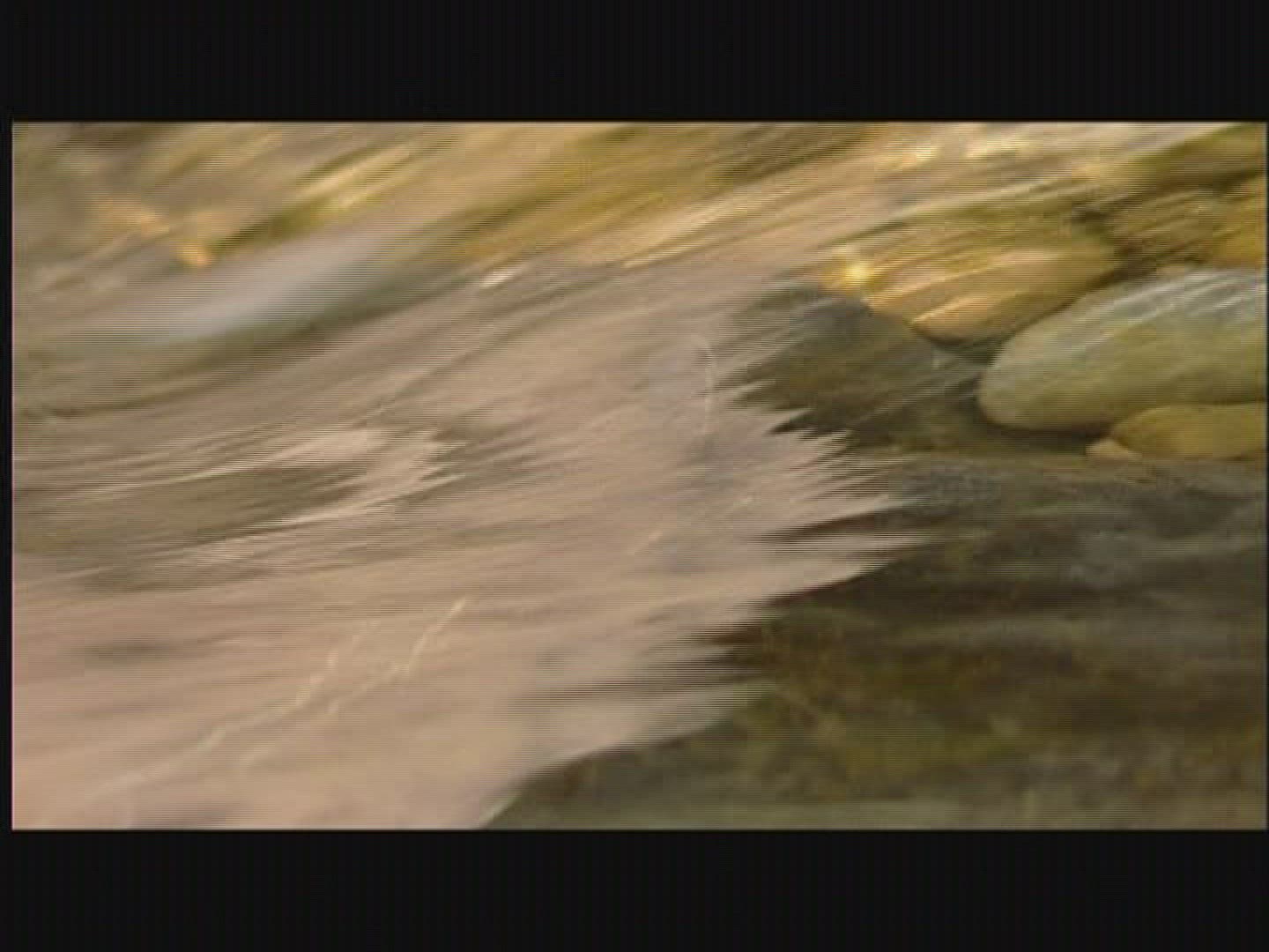 815442164 / Water / Current